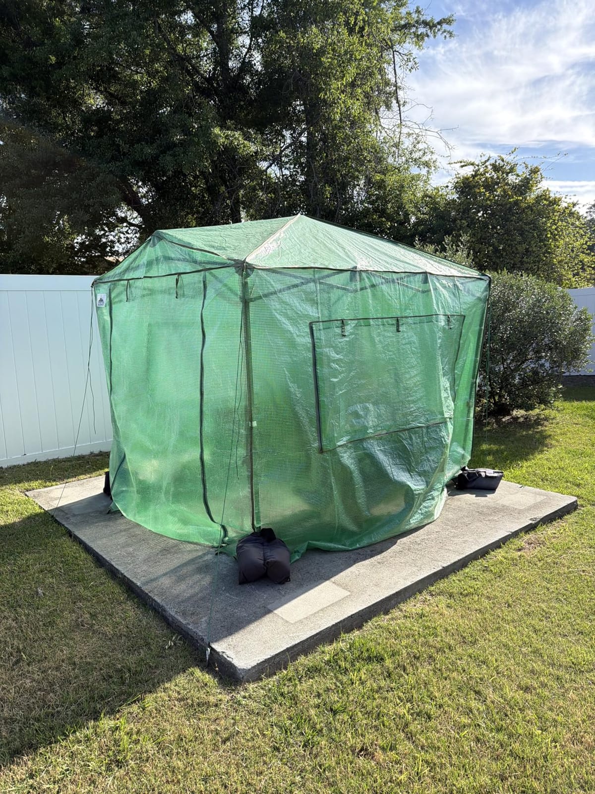 EAGLE PEAK 9x4 Easy Setup Pop Up Greenhouse, Lean-to Design, Clear/Green | Walk-In Greenhouses for Outdoors, Green House for Winter Protection, Roll-Up Door & Mesh Windows, One Person Setup customer photo 1