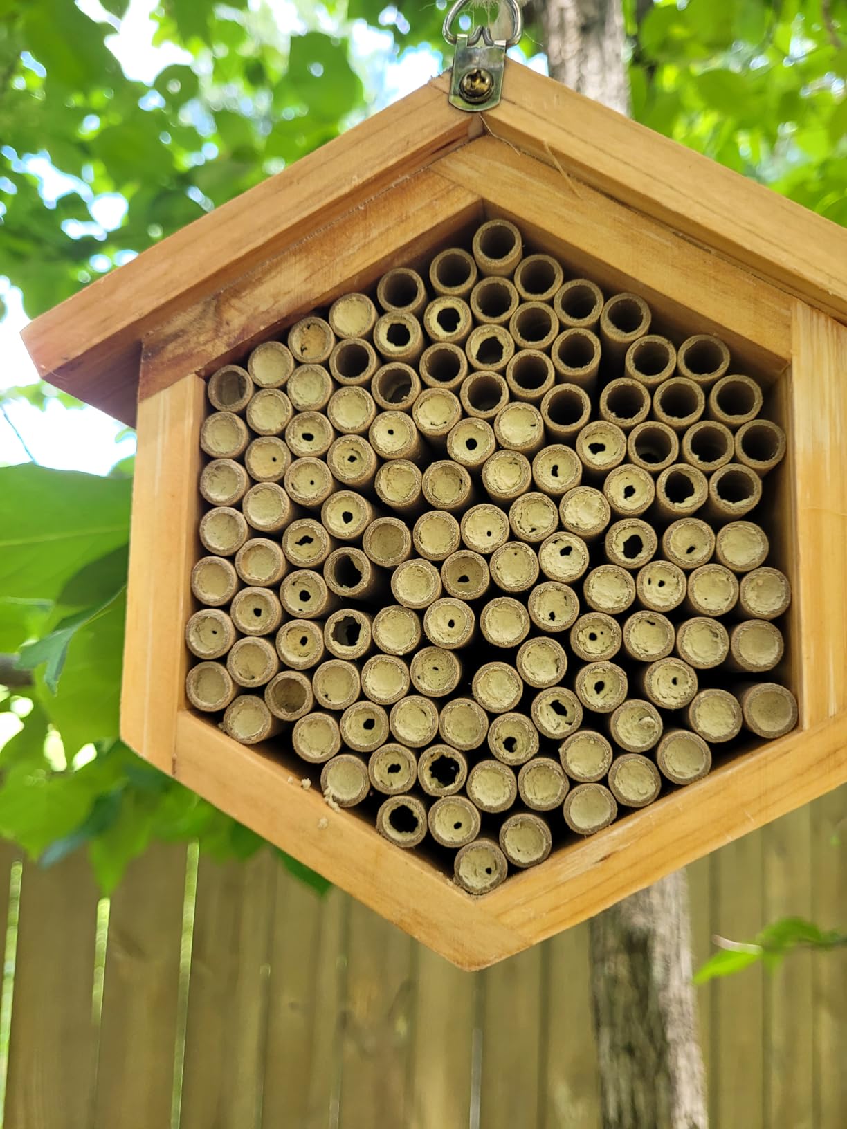 Mason Bee House Wax Coated Bee Hotel, Pollinator House Waterproof, Natural Handmade Wooden Mason Bee Hotel for Pollinating Bees Garden Supplies customer photo 1