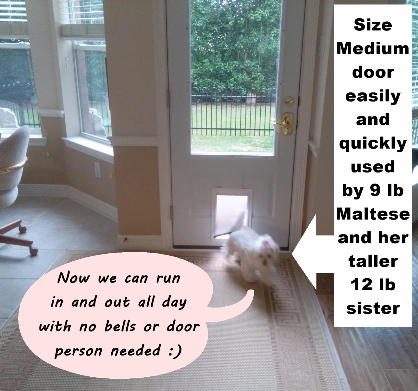 PetSafe Freedom Aluminum Dog & Cat Door, Pets up to 220 lbs, X-Large, White | Solid Aluminum Frame with Reinforced Corners, Flap Opening 13.75
