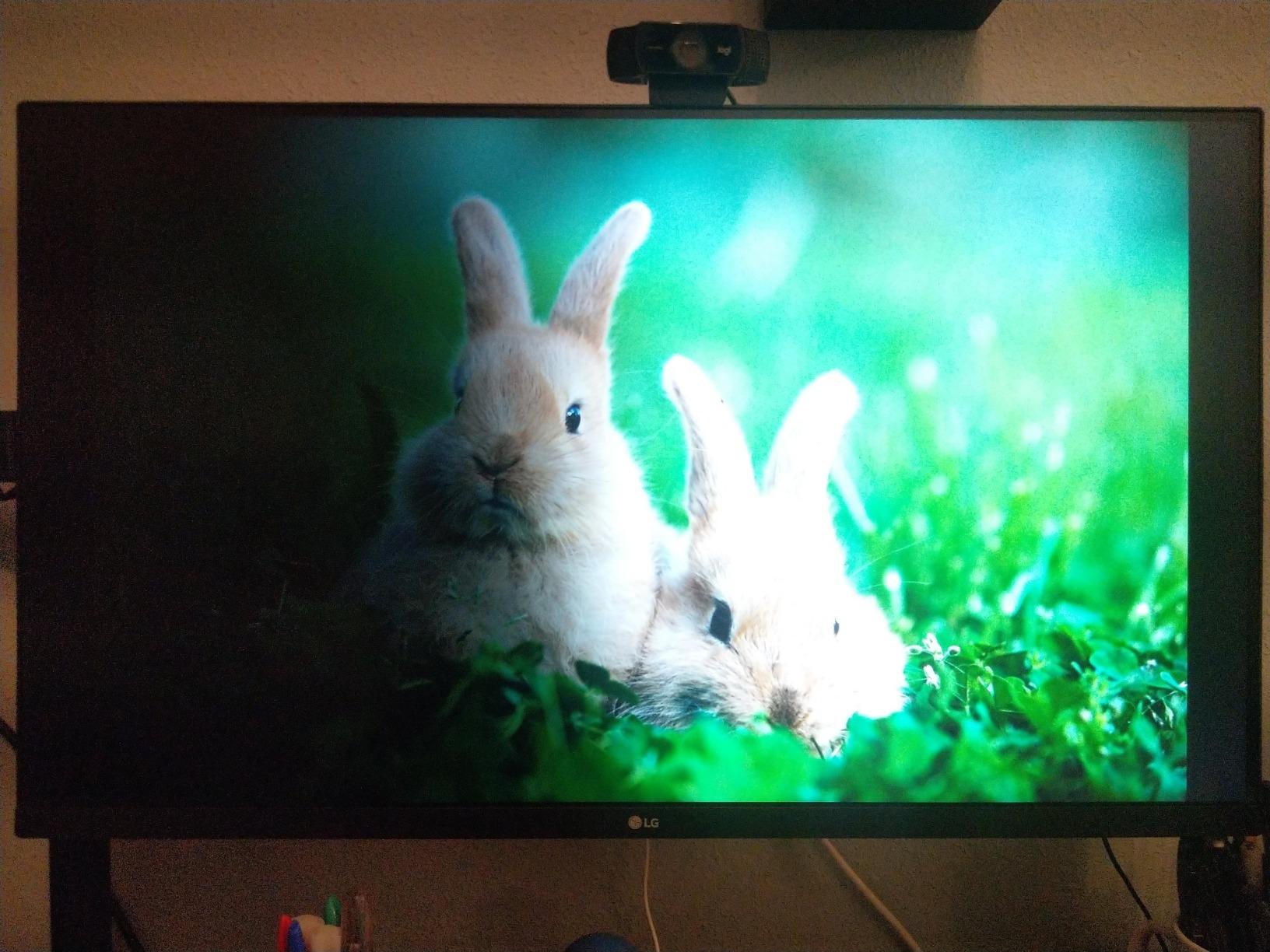 LG 32UN650-W Monitor 32