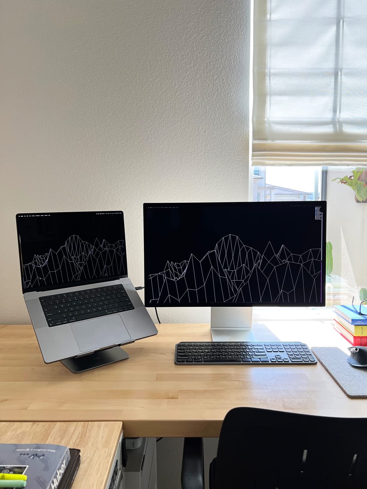 Lifelong Aluminum Adjustable Laptop Stand, Extra Tall 20
