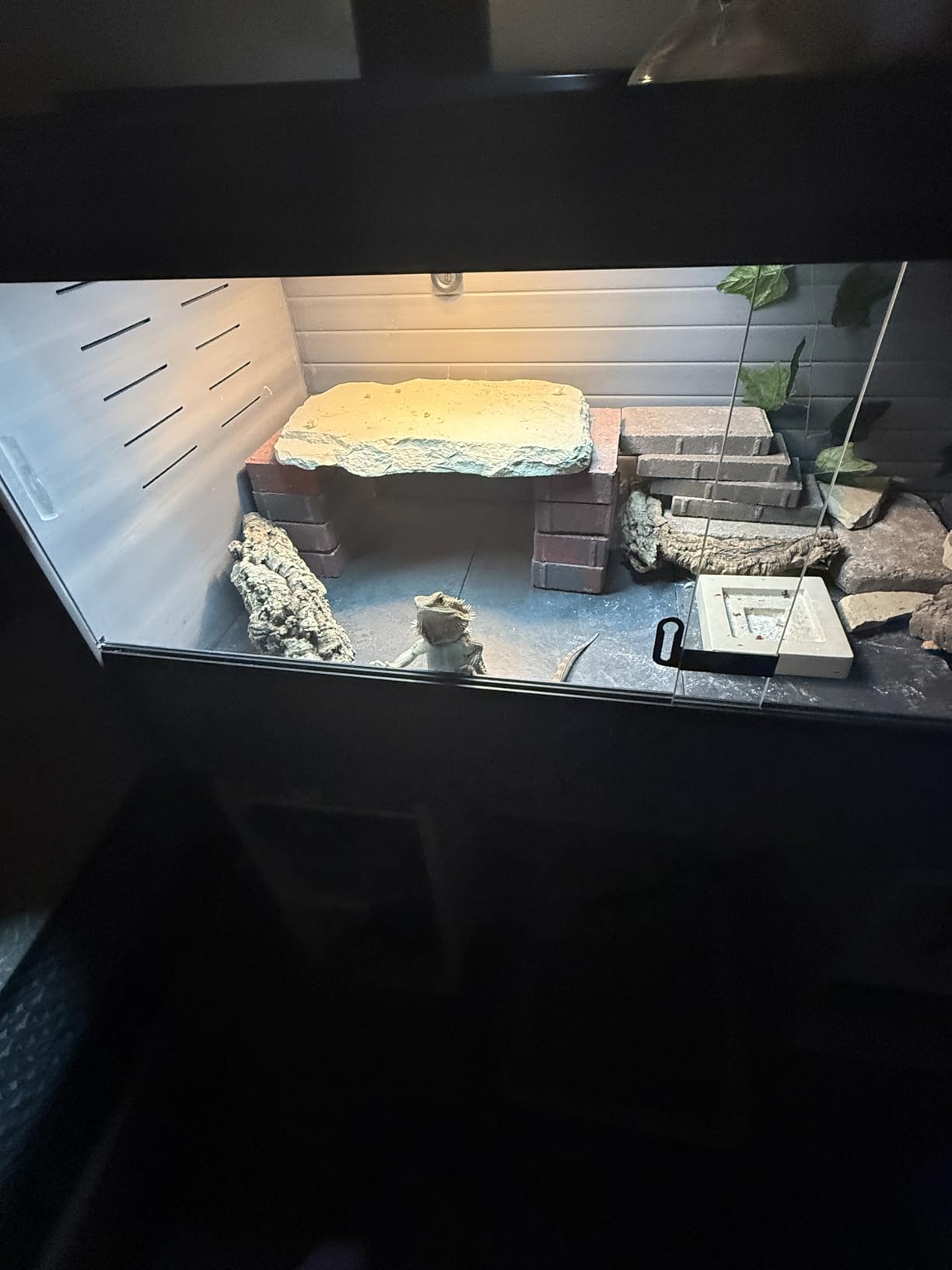 T5 HO UVB Lighting Combo Kit, Terrarium Hood Comes with Desert 10.0 UVB T5 Lamp (24W) customer photo 1