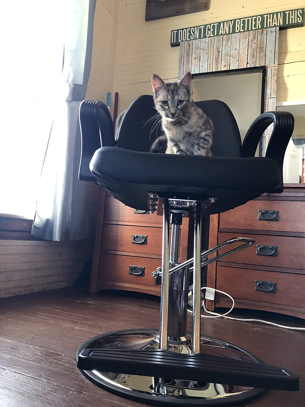 Barber Chair Salon Chair Styling Heavy Duty Hydraulic Pump Stylist Chair Adjustable Hydraulic Chair for Hair Stylist Women Man customer photo 1