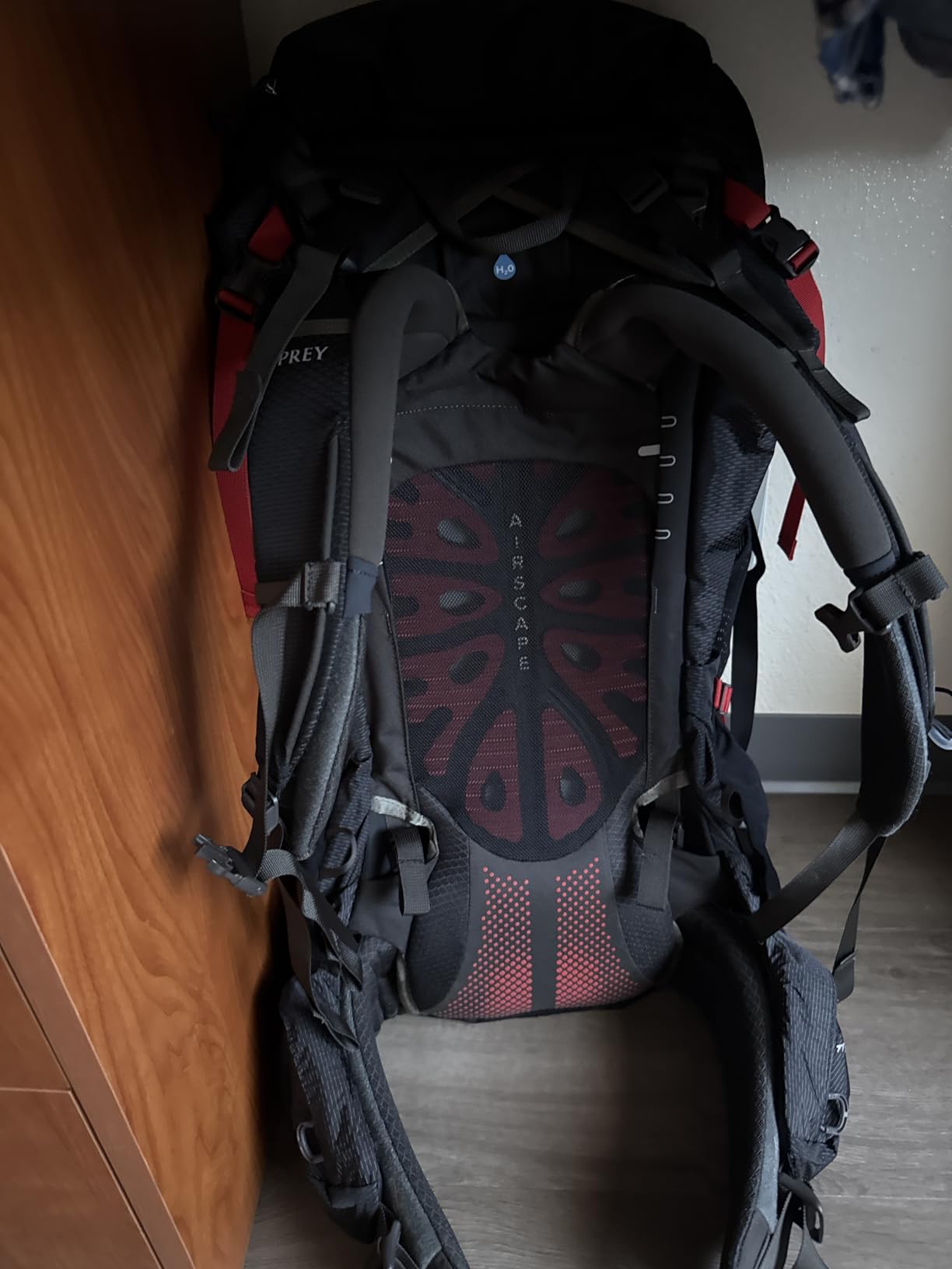 Osprey Aether Plus 70L Men's Backpacking Backpack, Black L-XL | Adjustable Anti-Gravity Suspension, Integrated Raincover customer photo 2