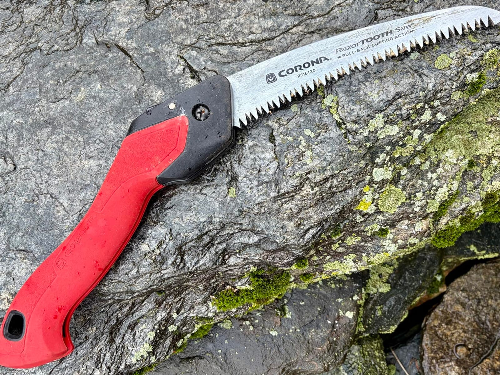Corona Tools RazorTOOTH Folding Pruning Saw - 7-Inch Tree & Branch Cutting Hand Saw for Gardening, Landscaping & Yard Work, Fast-Cut Razor Tooth Blade customer photo 2