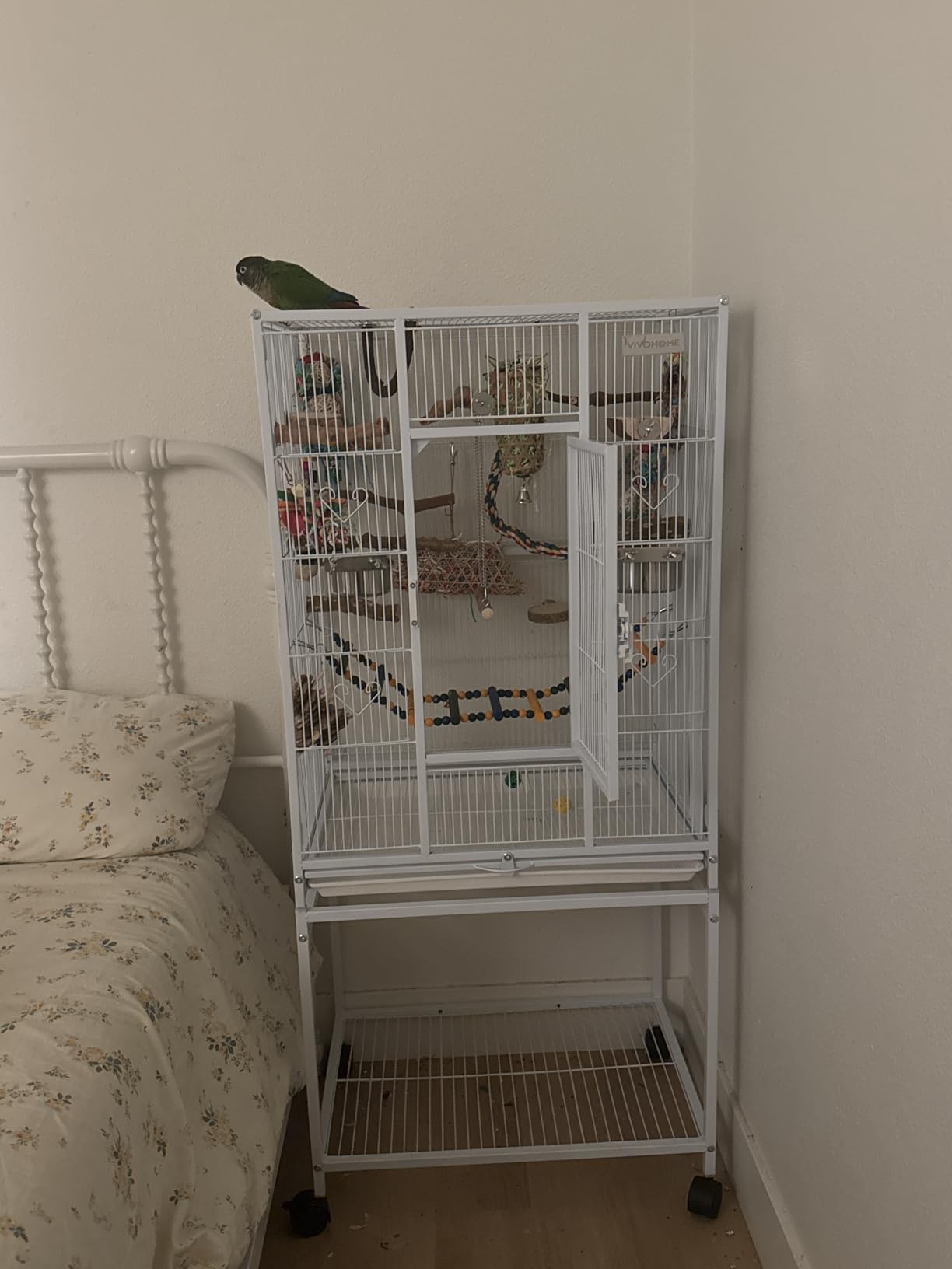 VIVOHOME 54 Inch Wrought Iron Large Bird Cage with Rolling Stand | Bird Flight Cage with Stand, Casters, Slide-out Tray for Parakeets Canaries Parrot Cockatiels Lovebirds Conures, Black customer photo 1