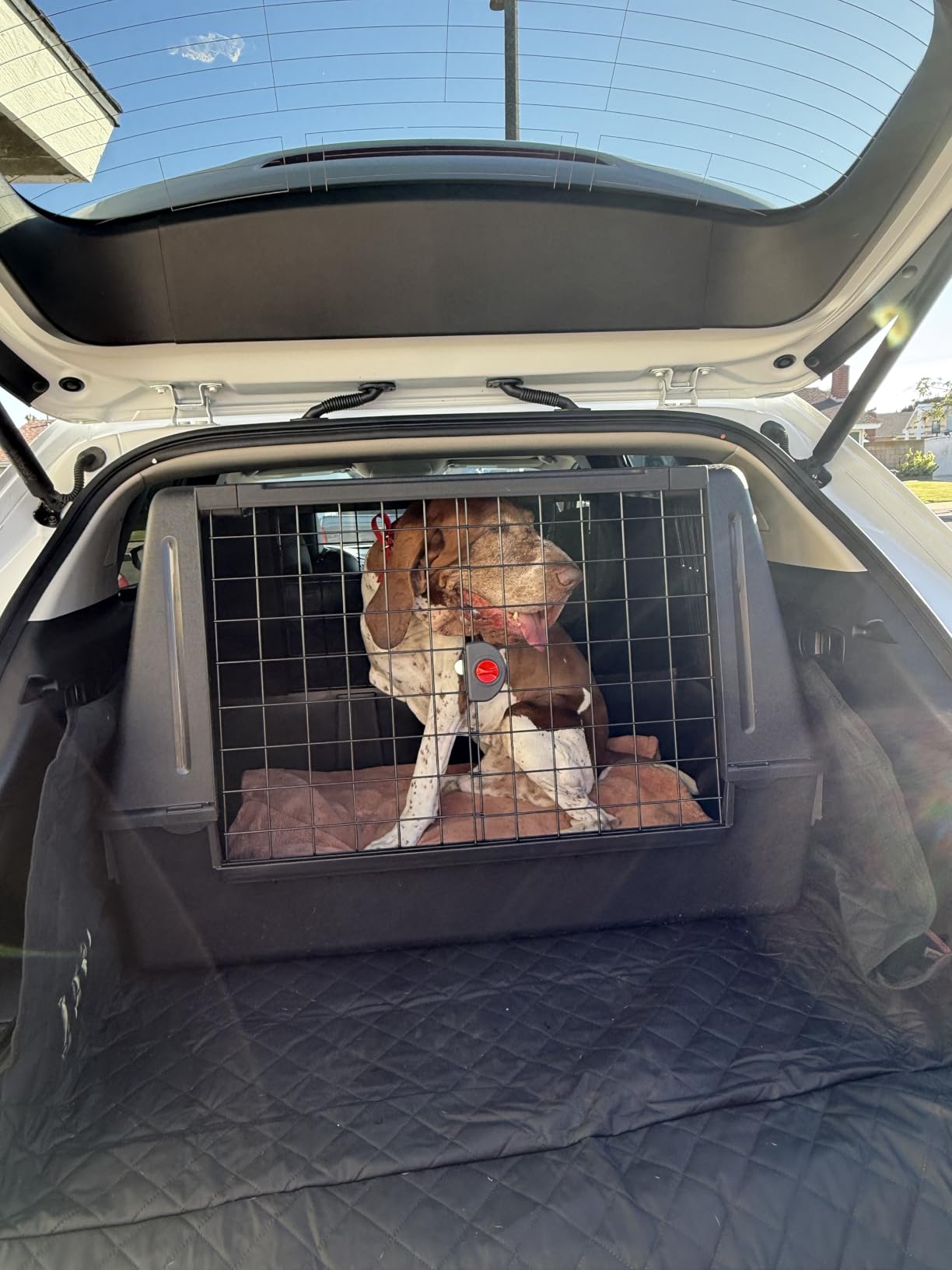 Ferplast Atlas Vehicle SUV Dog Crate, Assembled Car Dog Crate Measures 39L x 23W x 26H, Ideal for Medium to Intermediate Dog Breeds, Black customer photo 2