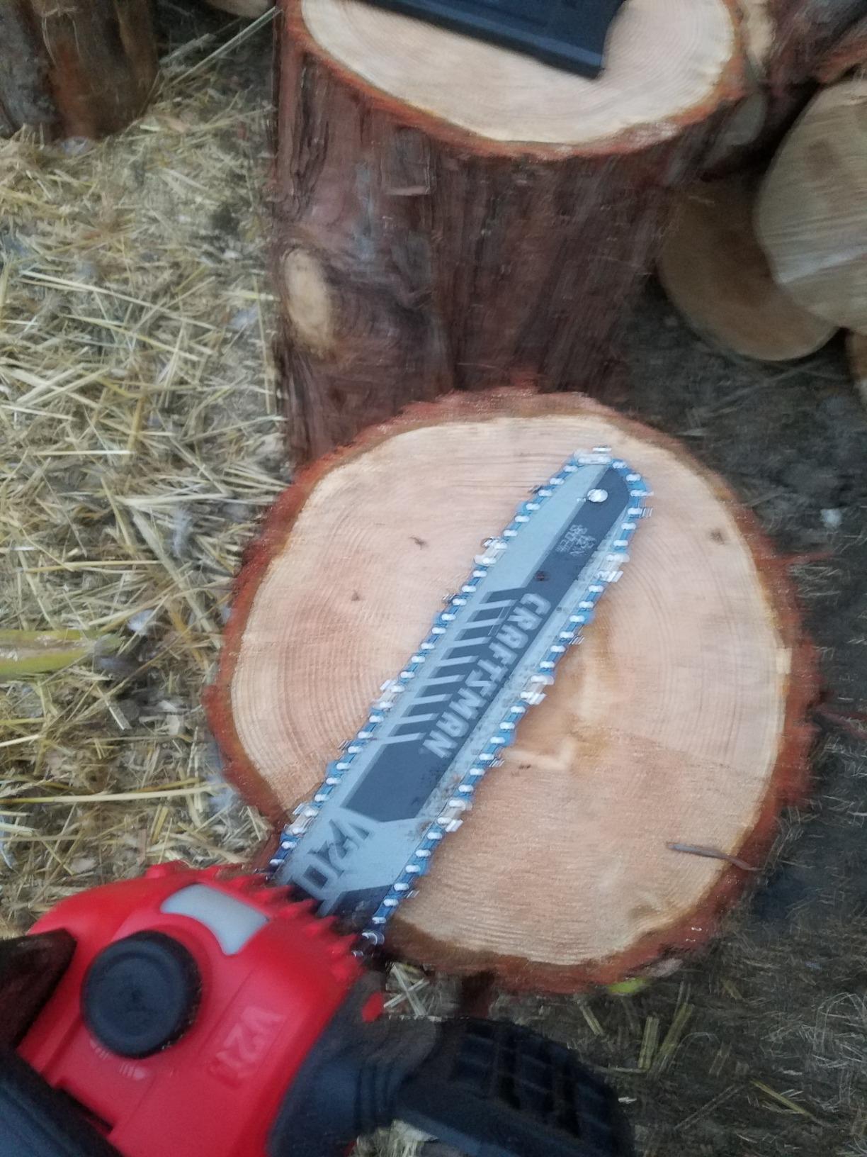 CRAFTSMAN Mini Chainsaw, 10 inch Mini Chainsaw Cordless, Electric Chain Saw, V20 Battery and Charger Included, Handheld Tree Trimmer Wood Cutter (CMCCS610D1) customer photo 1