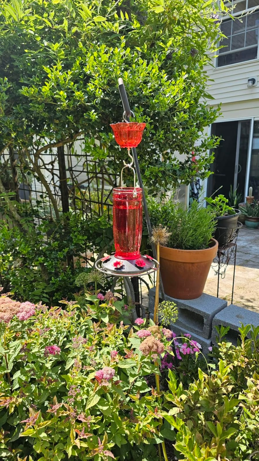 Kingsyard Glass Hummingbird Feeder for Outdoors Wild Bird Feeder with 6 Feeding Ports Hanging for Garden Yard, Red (Ant Moat Included) customer photo 1