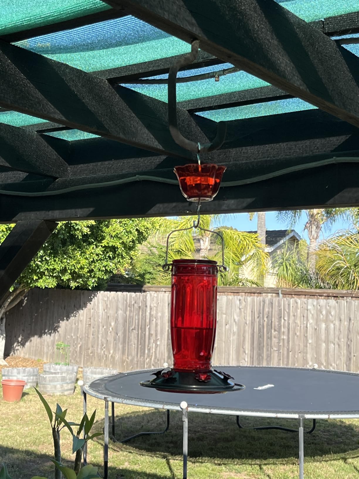 Kingsyard Glass Hummingbird Feeder for Outdoors Wild Bird Feeder with 6 Feeding Ports Hanging for Garden Yard, Red (Ant Moat Included) customer photo 2