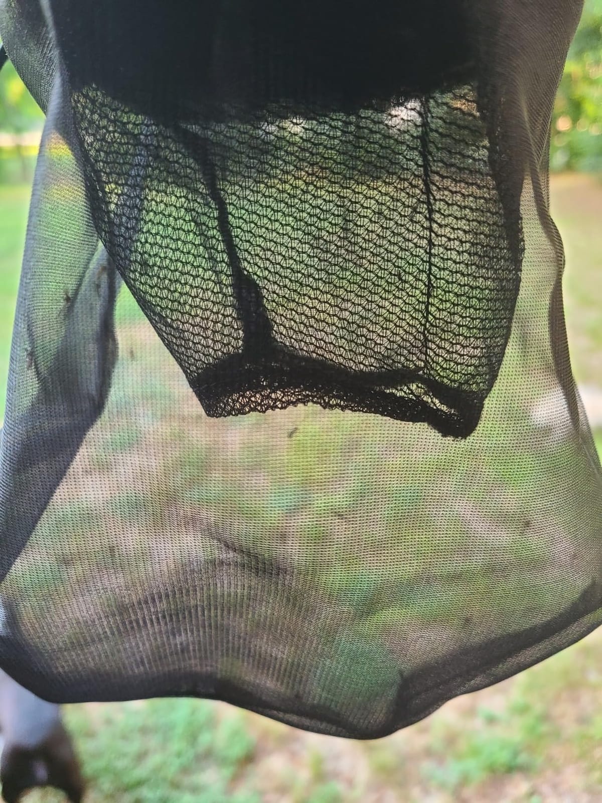 Biogents Mosquitaire Outdoor Mosquito Trap with Sweetscent Lure | Eco-Friendly, Pesticide-Free, Pet-Safe Repellent Alternative | Electric Catcher for Comprehensive Mosquito Control | Field-tested against Asian tiger & yellow fever mosquitoes customer photo 1