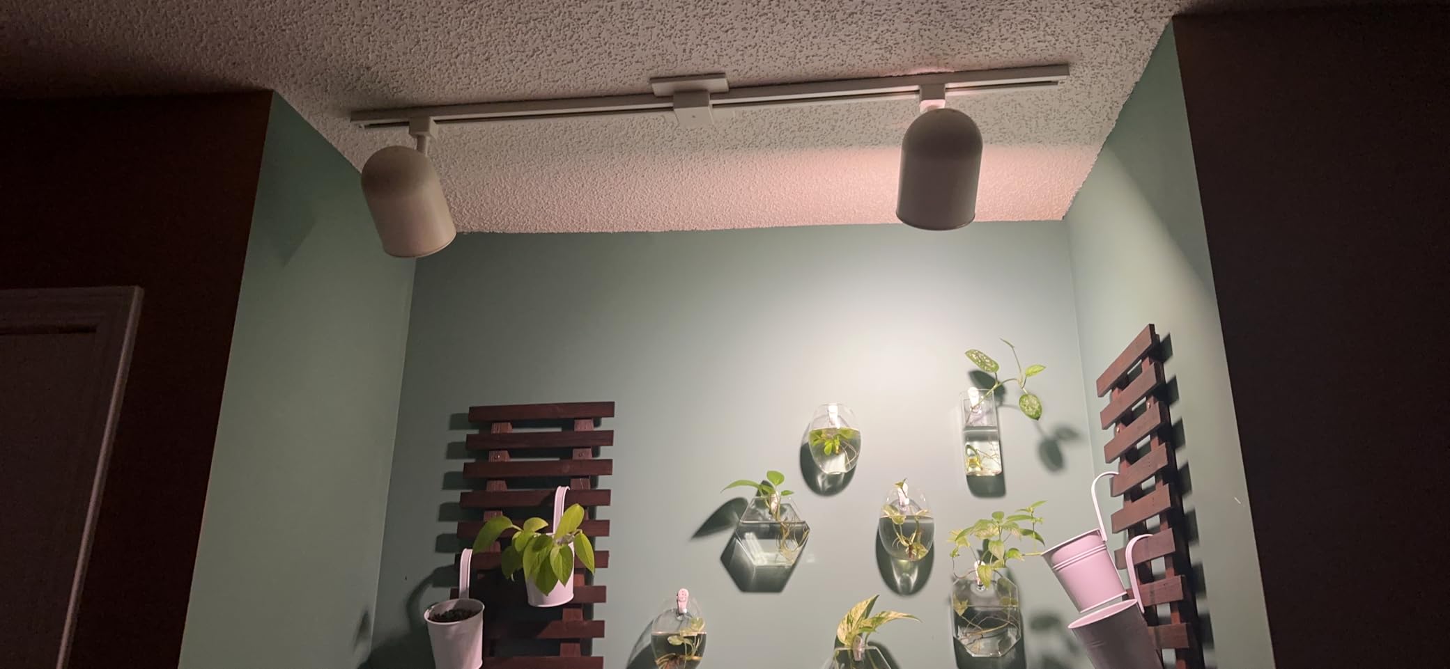 Briignite Grow Light Bulbs, LED Grow Light Bulb A19 Bulb, Full Spectrum | Grow Light Bulb, Plant Light Bulbs E26 Base, 11W Grow Bulb 100W Equivalent, Grow Light for Indoor Plants, Seed Starting, 2Pack customer photo 2