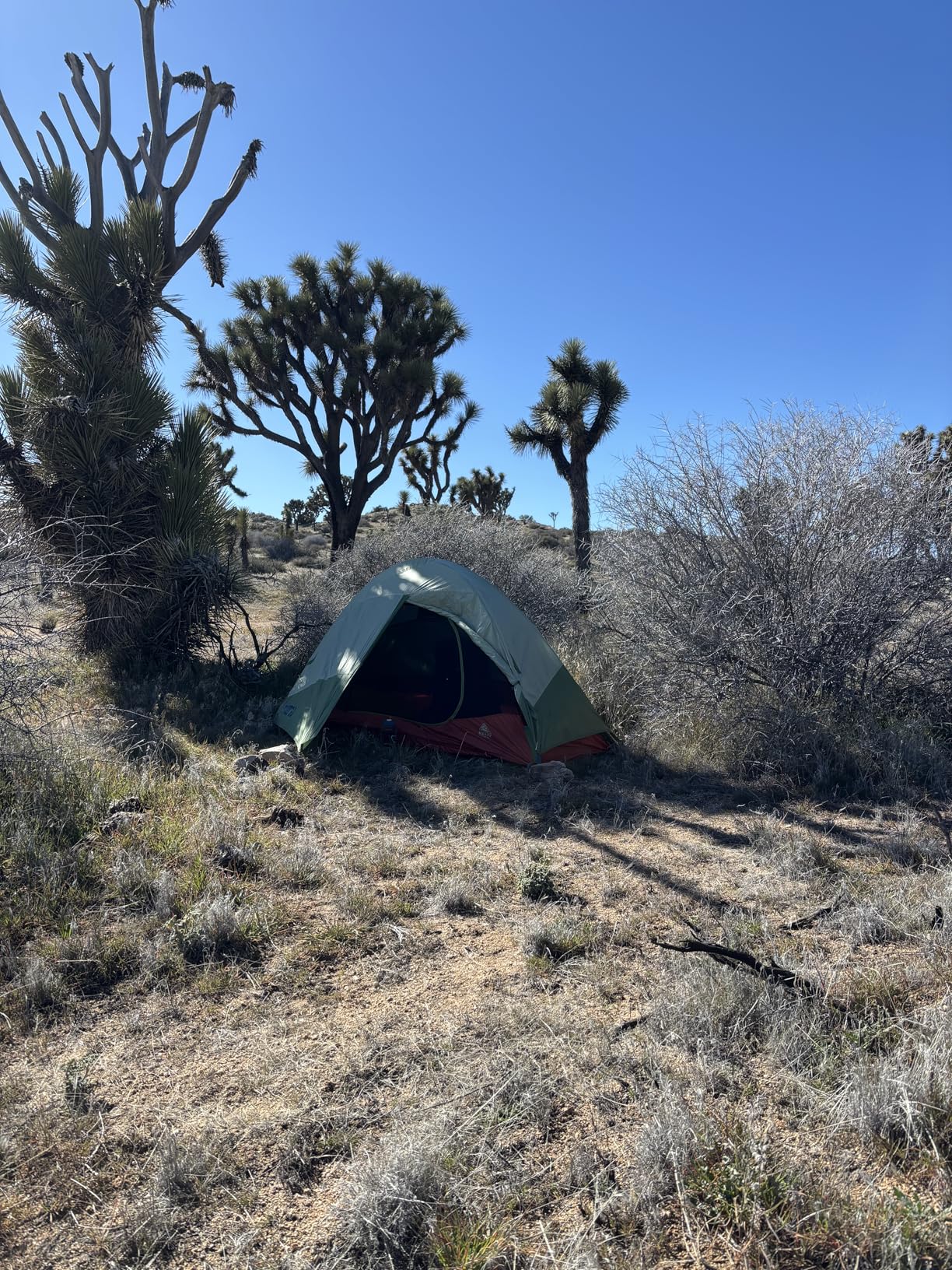 Kelty Tents Kelty Discovery Trail Backpacking Tent, Lightweight and Easy to Setup Backpacking Shelter with 2 Aluminum Poles, Single Door Single Vestibule, Stuff Sack Included customer photo 1