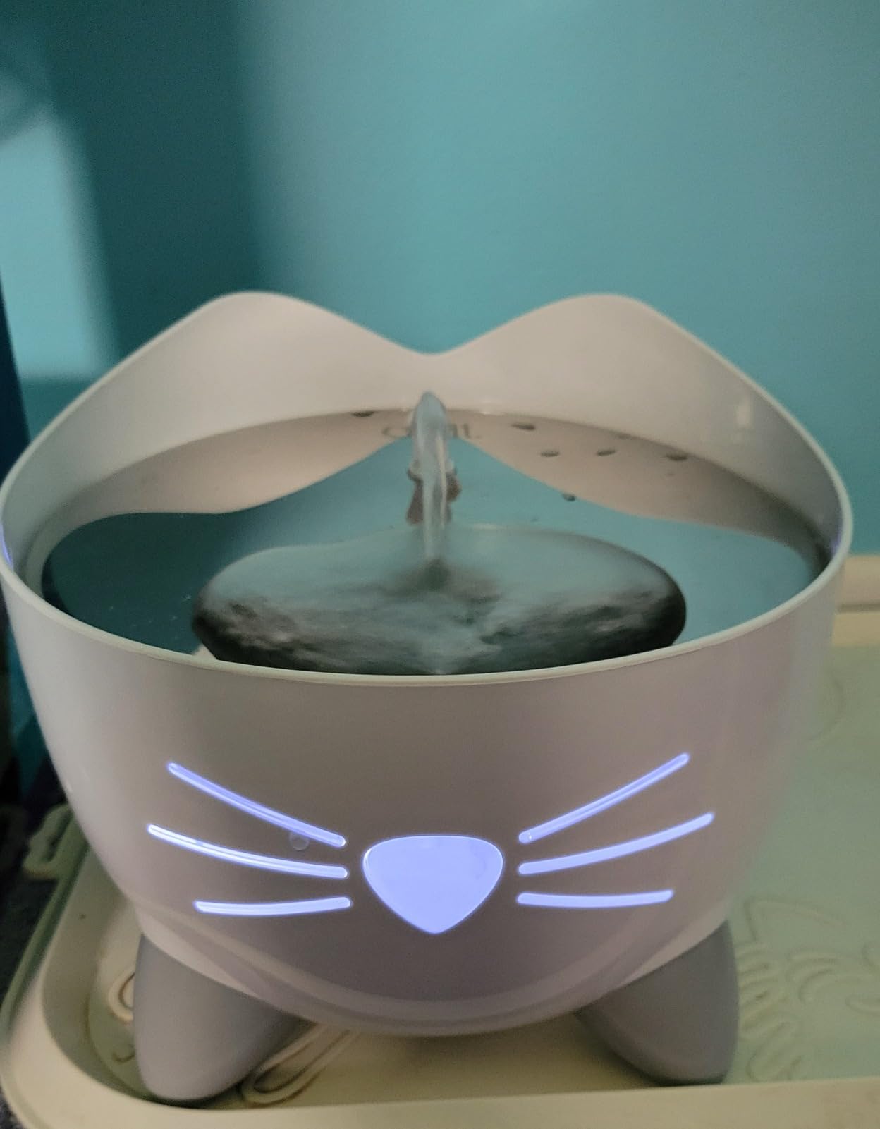 Catit PIXI Drinking Fountain, Stainless Steel customer photo 2