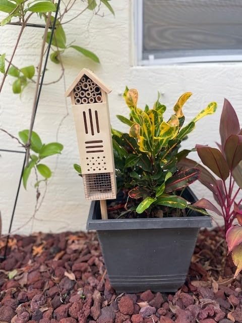 Wooden Insect House, Insect Hotel for Bugs, Bees, Butterflys, Ladybirds, Natural Beneficial Insect Habitat for Garden and Yard customer photo 1