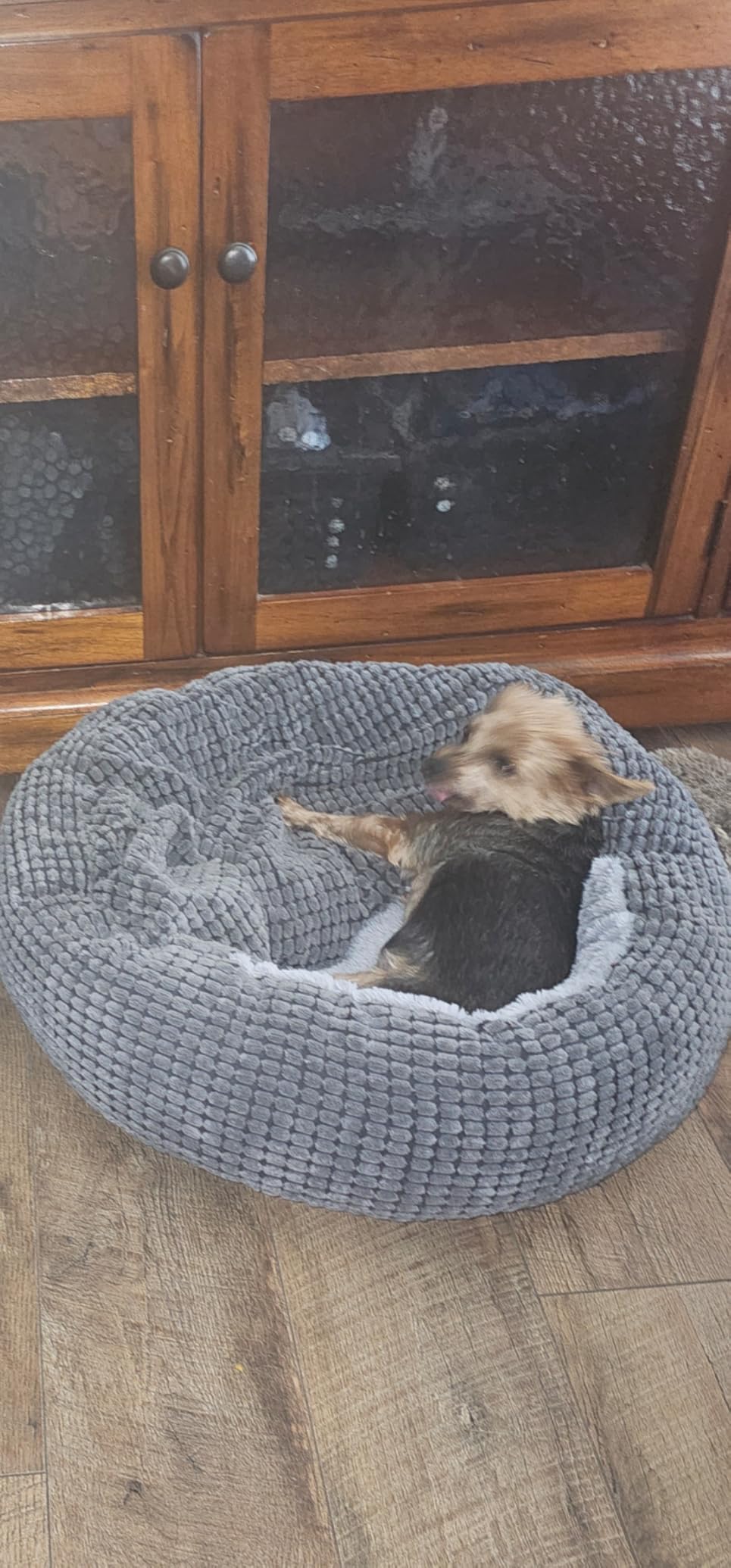 Small Dog Bed with Attached Blanket, Cozy Donut Cuddler Anti-Anxiety Hooded Pet Bed Calming Cave Bed customer photo 1