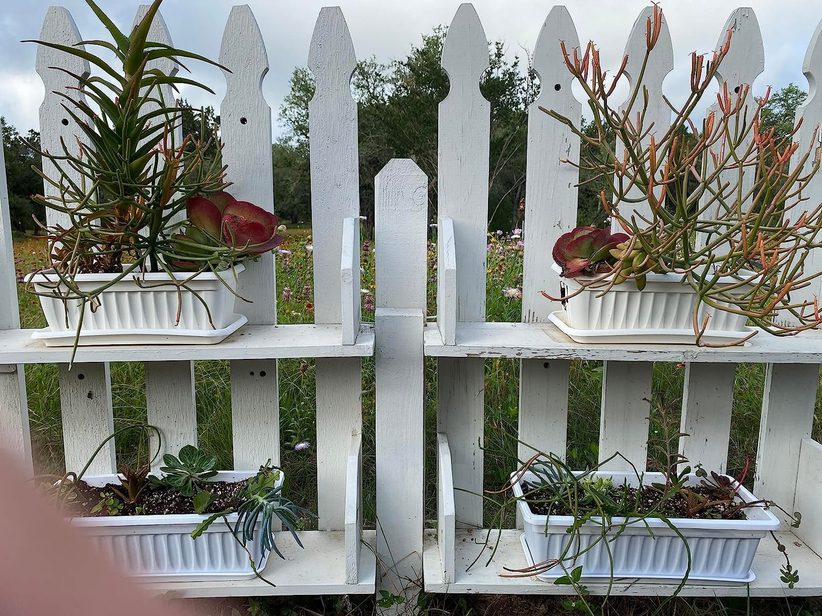 Fasmov 7 Pack 17 Inches Flower Window Box Plastic Vegetable Planters with Trays customer photo 2