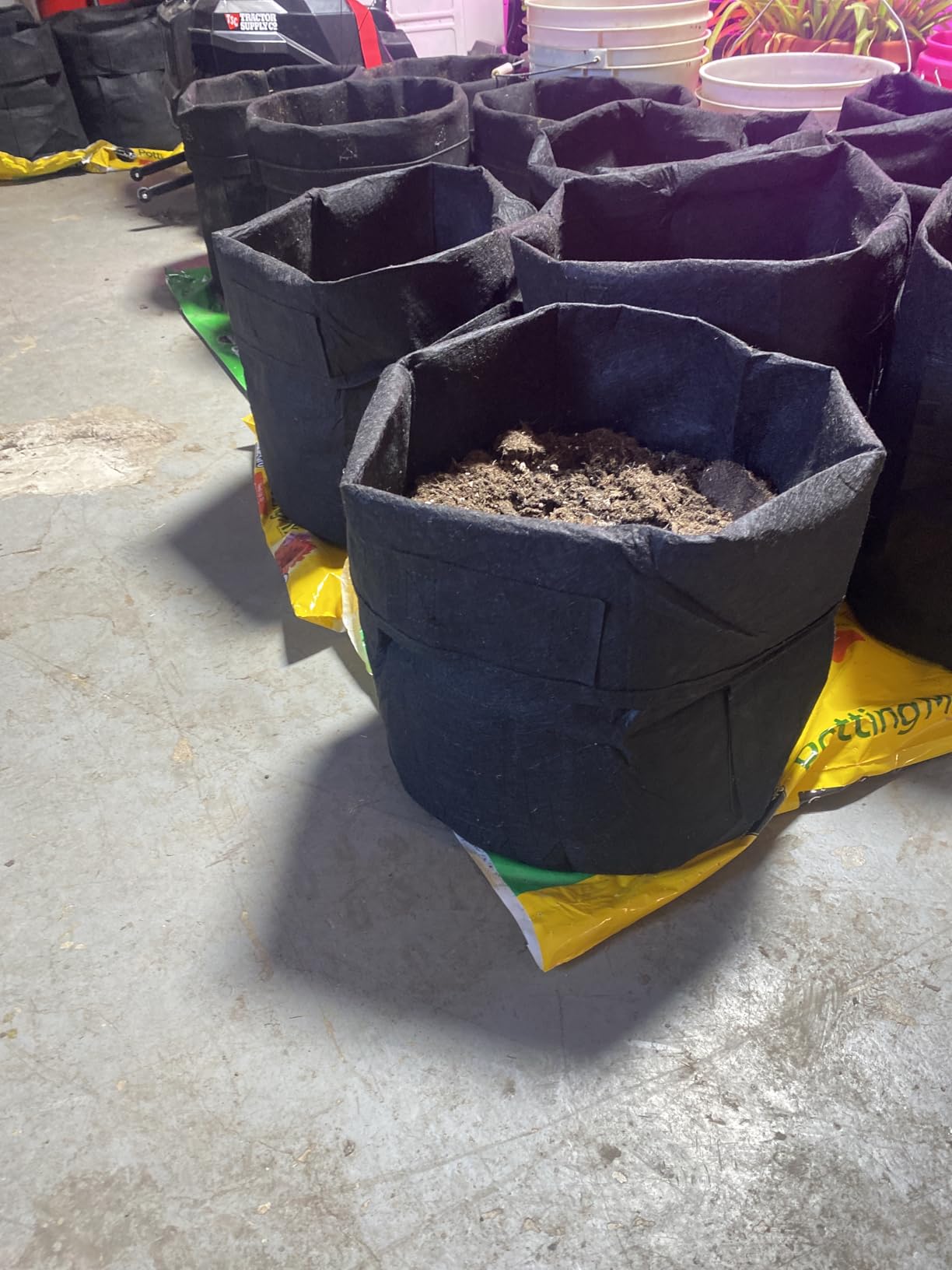 6-Pack 10 Gallon Potato Grow Bags, Heavy Duty Fabric Pots with Handles,300G Thickened Nonwoven Pots for Plants customer photo 2