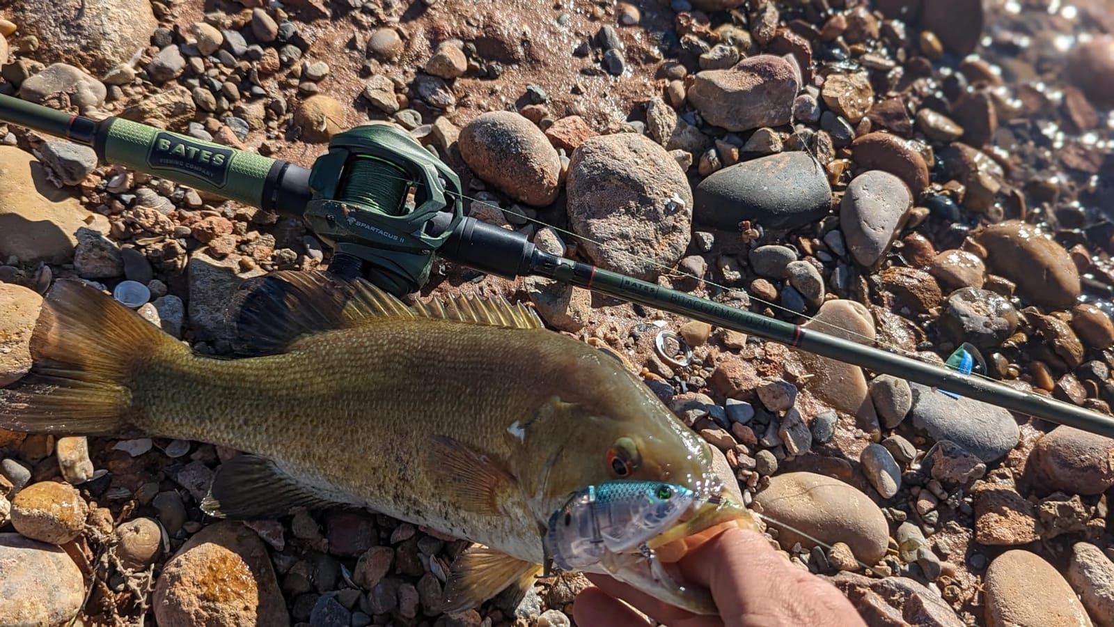 KastKing Spartacus II Baitcasting Fishing Reels with 7.2:1 Gear Ratio | Max Drag: 17.6 lb, 7+1 BB, 6 oz, Graphite Frame, 5-Button Magnetic Brake, Ultralight and Super Smooth customer photo 1