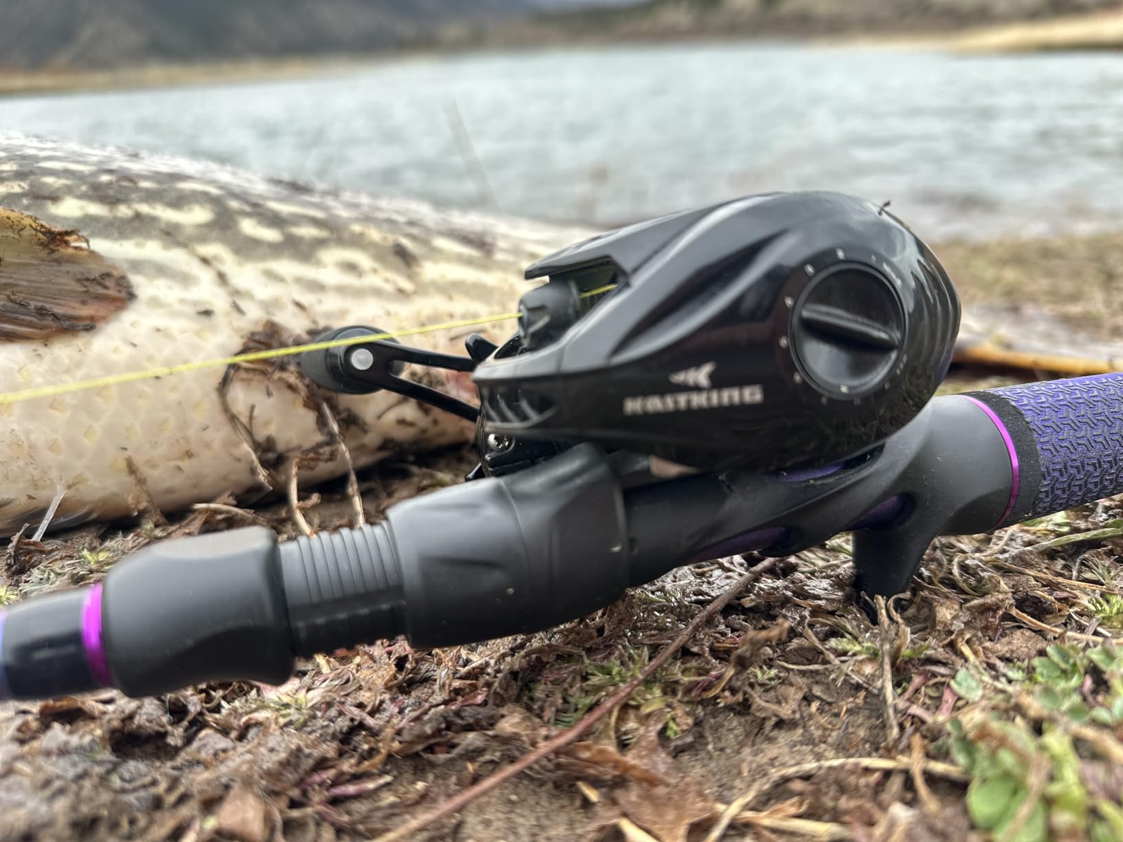KastKing MegaJaws Elite Baitcasting Fishing Reels, Lightweight, High Speed | Max Drag: 17.64 lb, 11+1 BB, 6.7 oz, Lightweight Graphite Frame, New AutoMag Dual Brake, 7.2:1 Gear Ratio customer photo 2