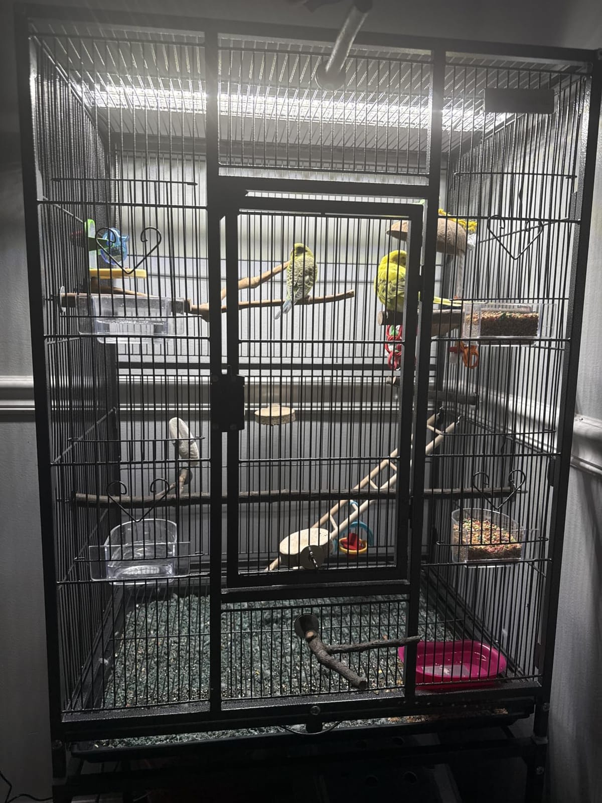 VIVOHOME 54 Inch Wrought Iron Large Bird Cage with Rolling Stand | Bird Flight Cage with Stand, Casters, Slide-out Tray for Parakeets Canaries Parrot Cockatiels Lovebirds Conures, White customer photo 1