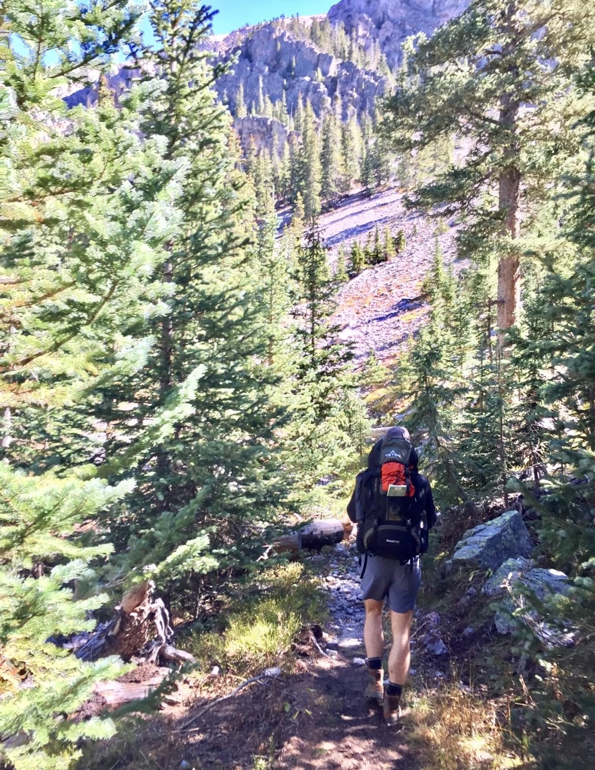 Teton 55L Scout Internal Frame Backpack for Hiking, Camping, Backpacking, Travel, Rain Cover Included, Burnt Orange customer photo 1