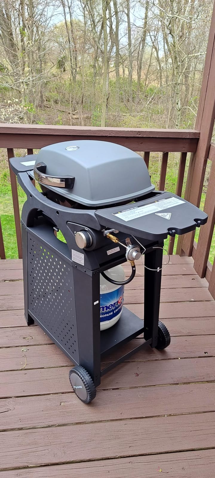 MASTER COOK Single Burner Propane Gas Grill, 11,500 BTU Portable Tabletop Barbecue Grill with Cart for Patio, Camping, Travel customer photo 2