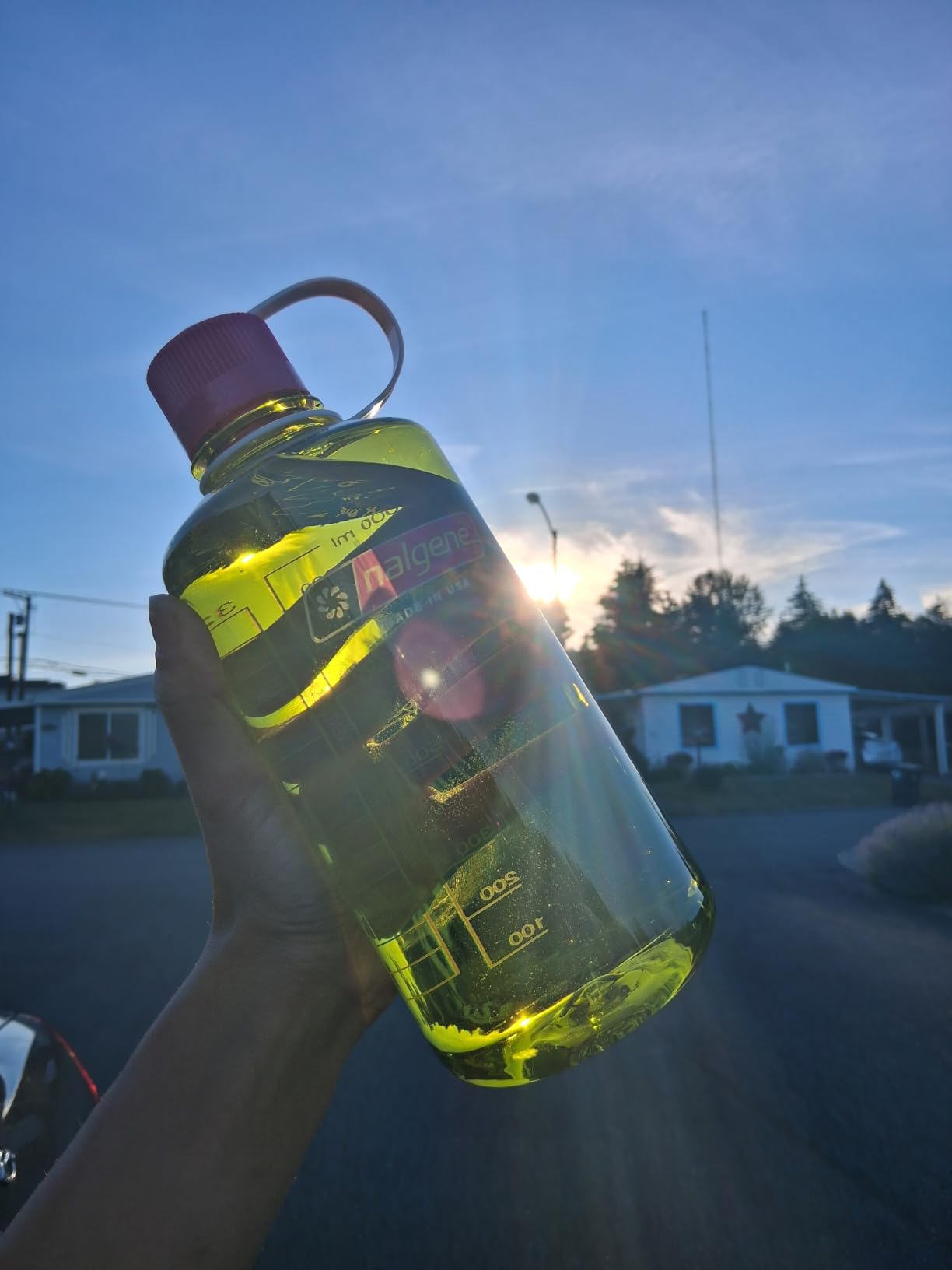 Nalgene 32 oz Narrow Mouth Water Bottle, Amethyst | BPA-Free, Durable & Lightweight, Leak Proof, Dishwasher Safe customer photo 2
