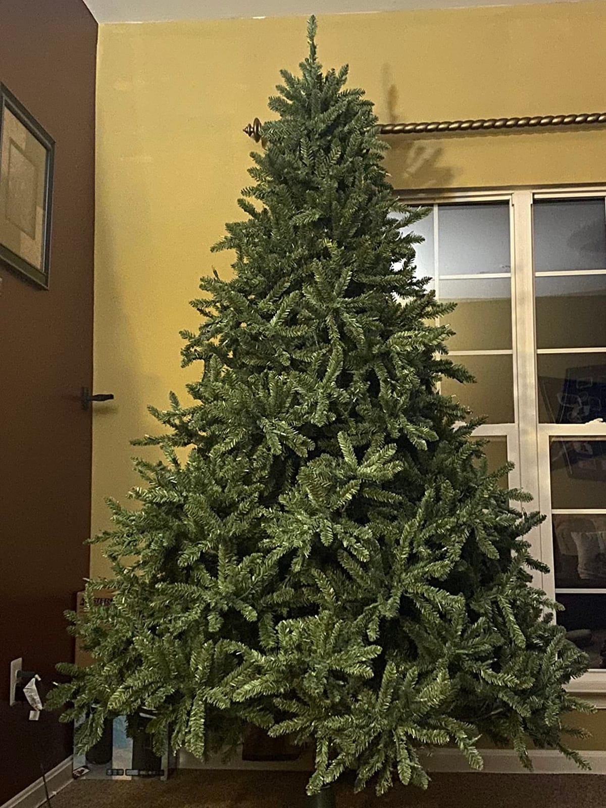 Balsam Hill 6.5ft Pre-Lit Classic Blue Spruce - Artificial Christmas Tree with 2,144+ Tips, 700 Clear LED Lights customer photo 2