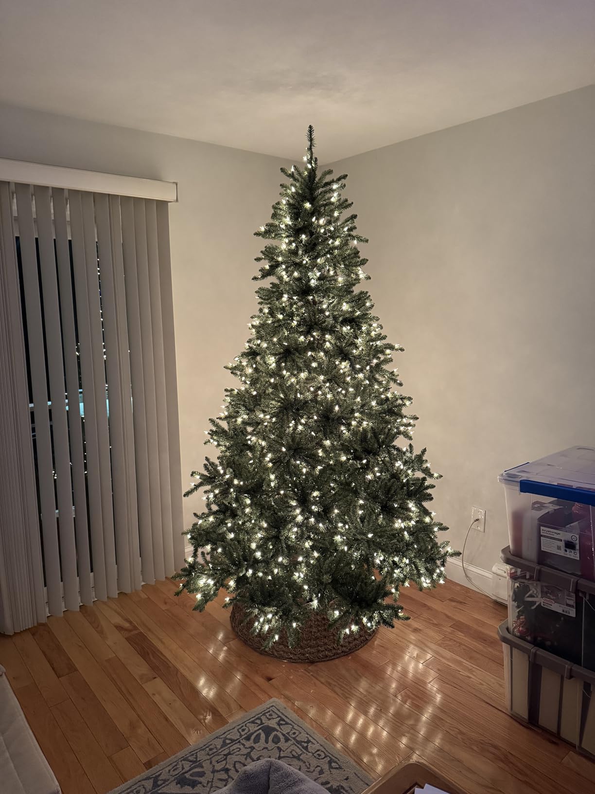 Balsam Hill 9ft Pre-Lit Classic Blue Spruce - Artificial Christmas Tree with 1500 Clear Incandescent Lights, Easy Plug Technology, Premium Stand for Indoor Holiday Decorating customer photo 1