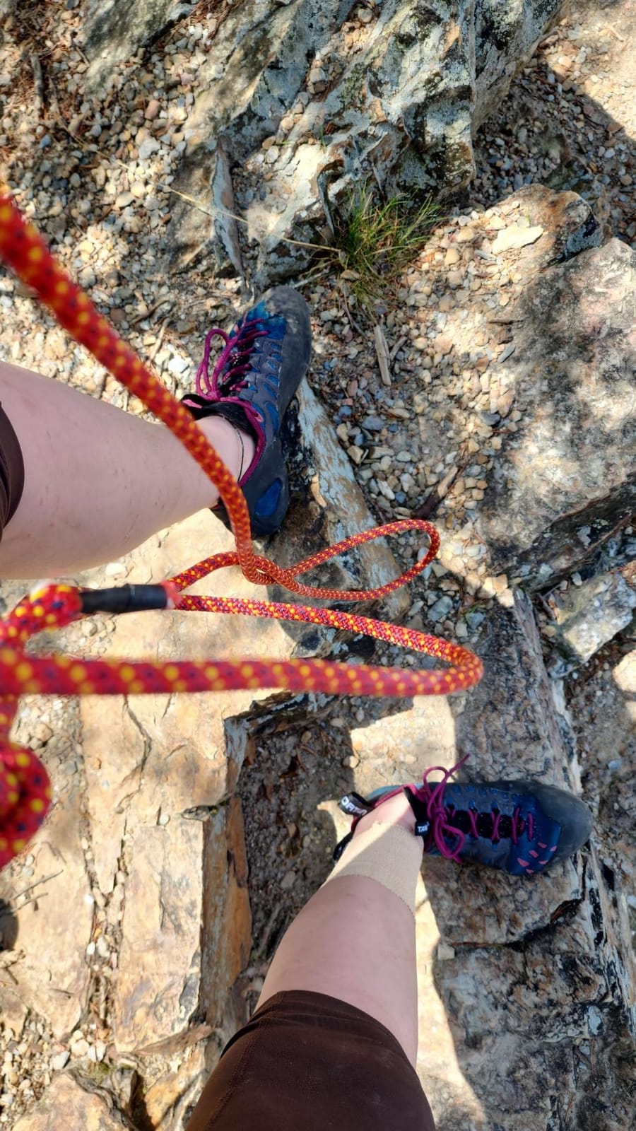 La Sportiva Womens Tarantulace Rock Climbing Shoe | Introductory Indoor/Outdoor Shoe, Premium Comfort, Higher Volume, Easy On/Off, Lace-Up Closure customer photo 1