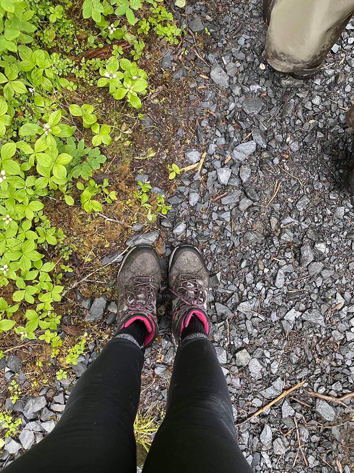 Women's Hiking Boots - Waterproof Lightweight Suede Leather Hiking Boots for Women with All-Day Comfort, Grip & Support for Trails, Travel & Outdoors customer photo 1