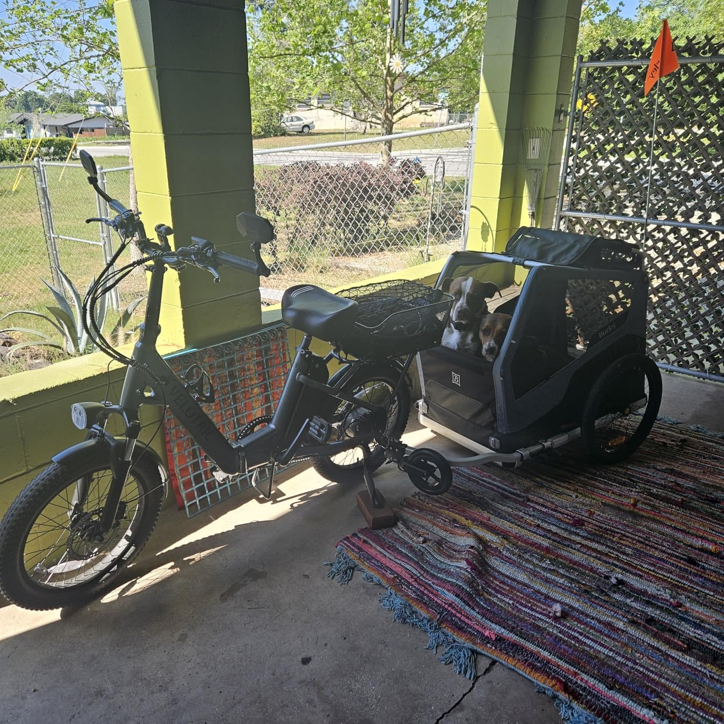 Burley Bark Ranger Pet Bike Trailer customer photo 2
