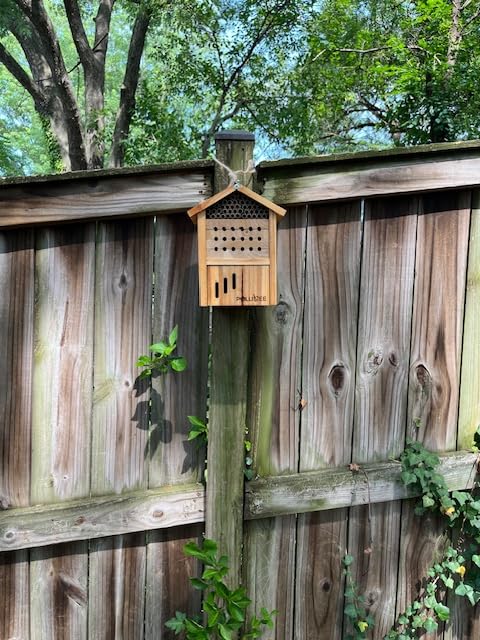 Mason Bee House -Wax Coated Mason House for The Garden,Natural Handmade Wooden Mason Home, Attracts Peaceful Bee Pollinators, Native Mason Bee Habitat customer photo 2