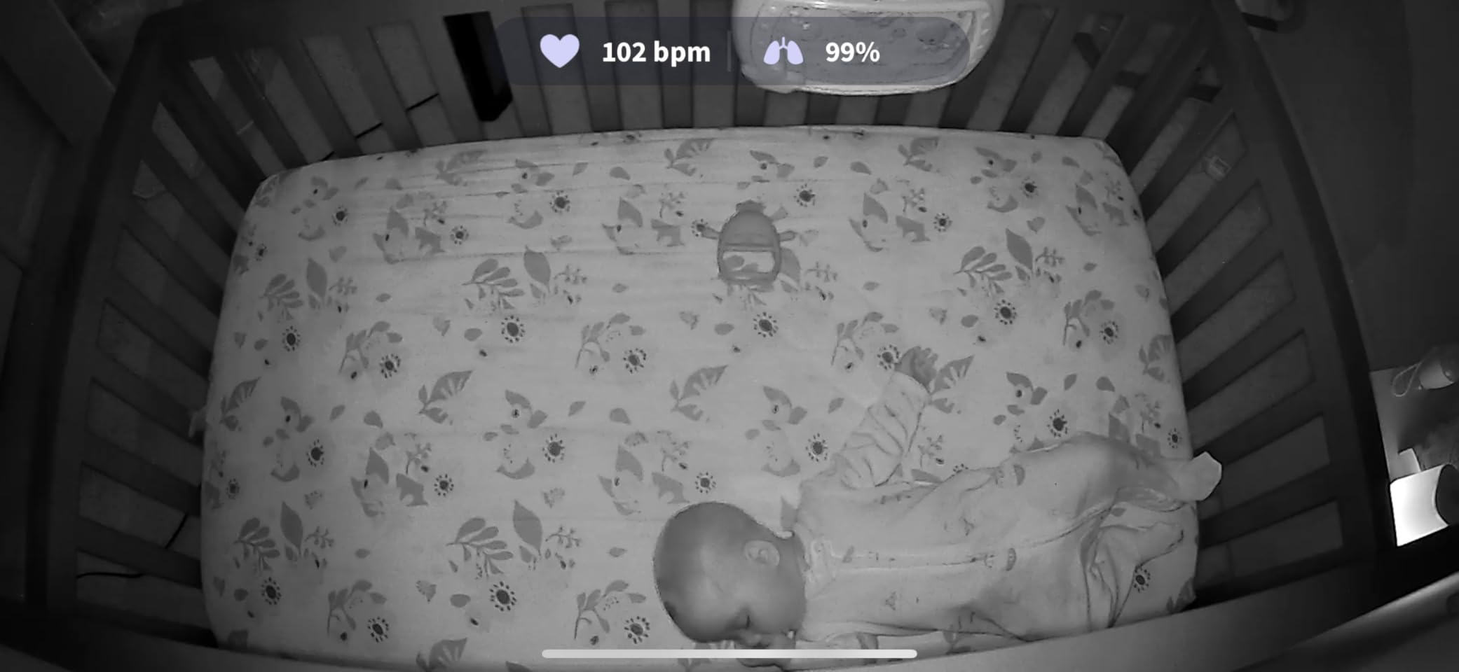 Owlet Dream Duo (Gen 1) Smart Baby Monitor: FDA-Cleared Dream Sock Plus Owlet Cam 2 - Tracks & Notifies for Pulse Rate & Oxygen While Viewing Baby in 1080p HD WiFi Video customer photo 1