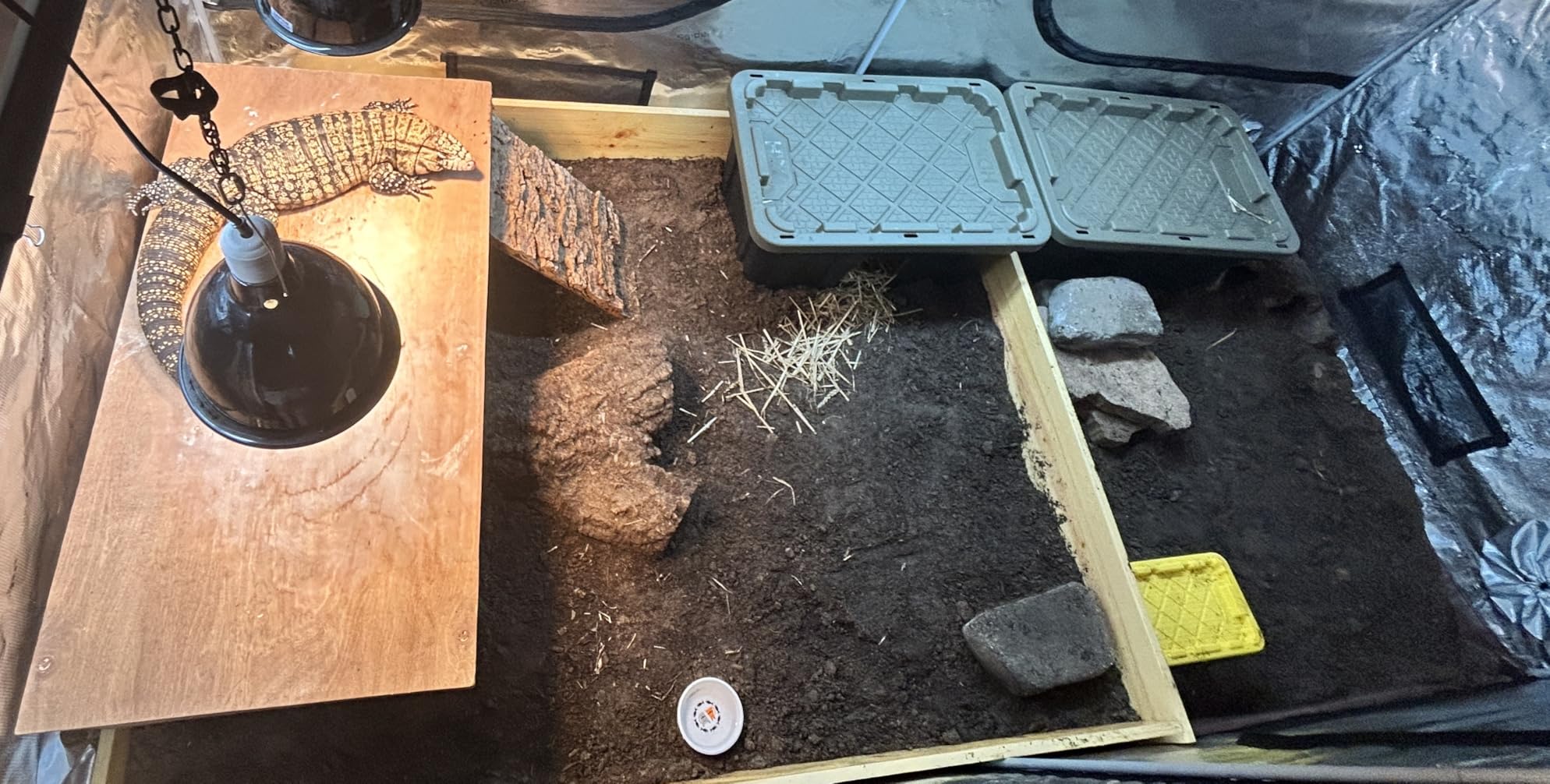 Spider Farmer 10x5 Grow Tent 120