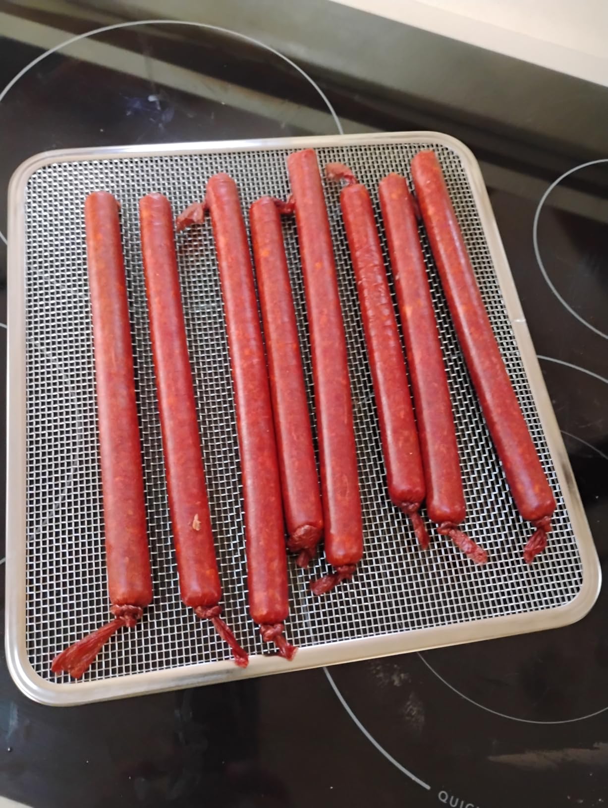 Large Capacity Jerky Gun Kits, Jerky Cannon, Stainless Steel Jerky Maker, Jerky Shooter, Meat Gun, Beef Deer Jerky Making Gun Kit, Gifts for Women Men customer photo 1