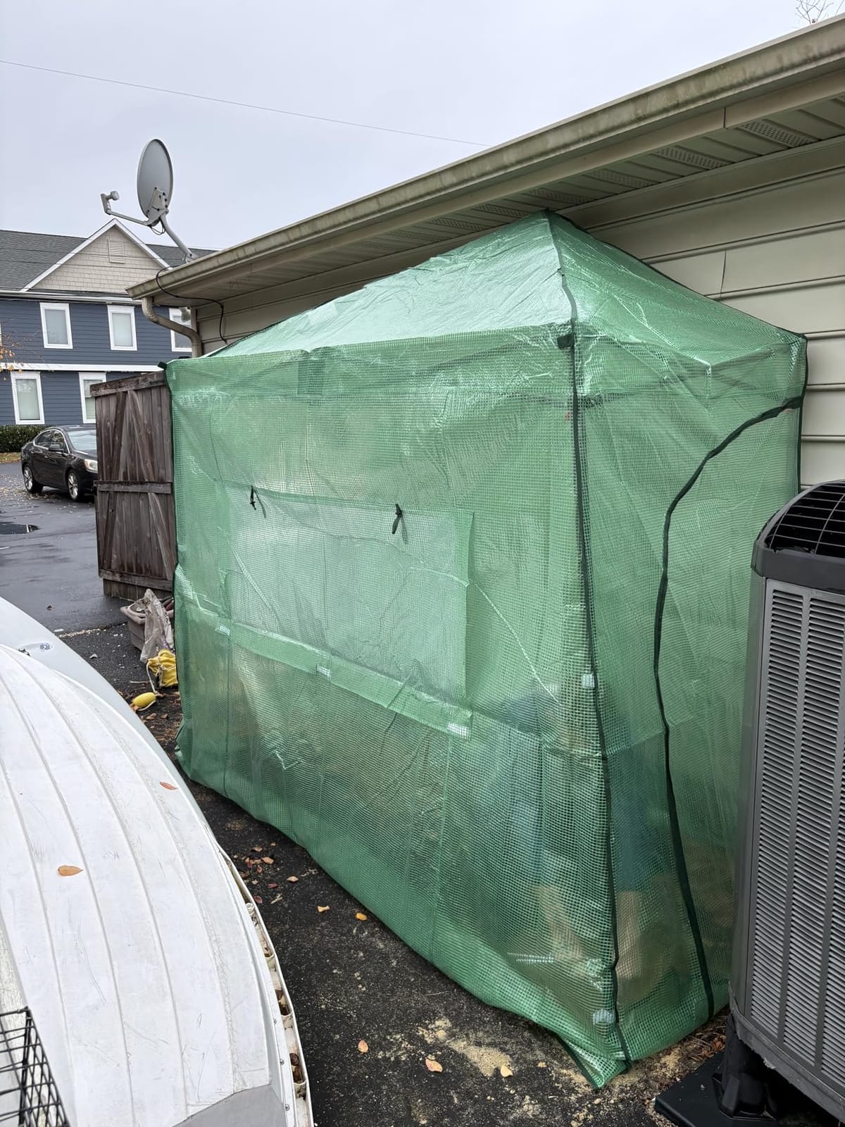 EAGLE PEAK 10x5 Portable Walk in Greenhouse, Pop Up Indoor Outdoor Greenhouse, Green House Kit with Zippered Roll-Up Doors and Windows, Lean-to Design, PE Cover, Clear/Green customer photo 2