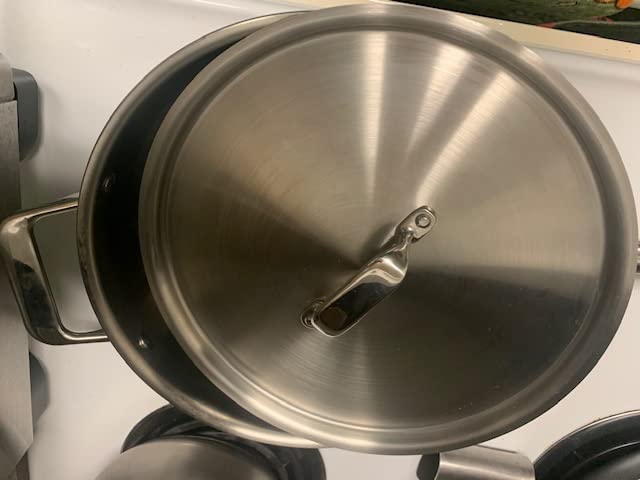 Misen 5-Ply Stainless Steel 6QT Rondeau - Wide, Flat Cooking Surface - Even Heating, Perfect Searing - Durable, Versatile Cookware - Oven-Safe to 800F, Induction Compatible customer photo 1