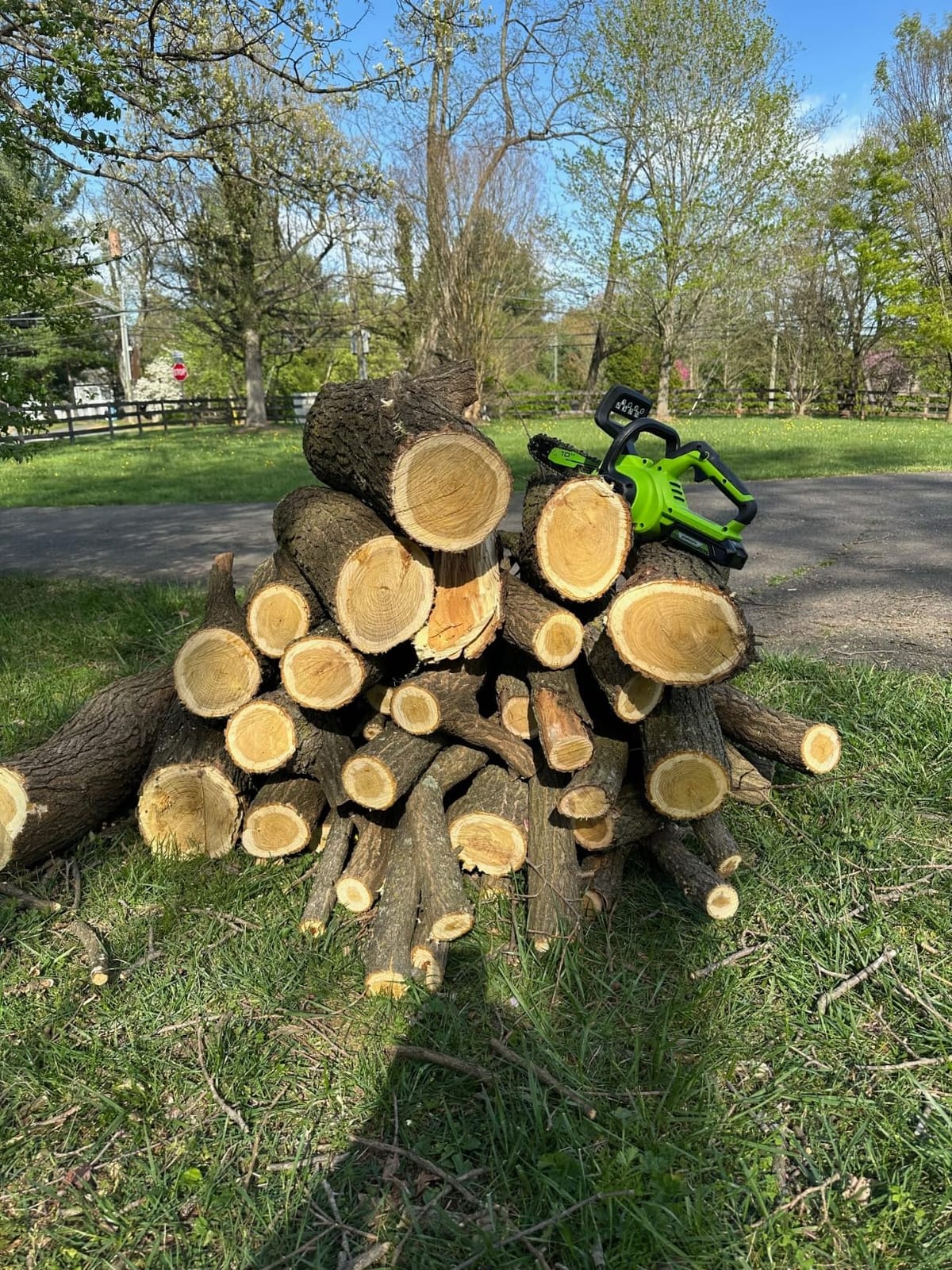 Greenworks 24V 10