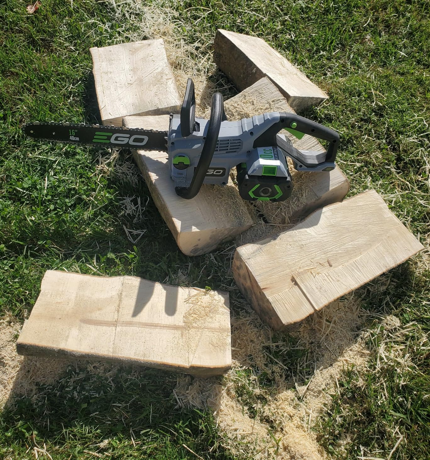 EGO POWER+ Chain Saw, 16