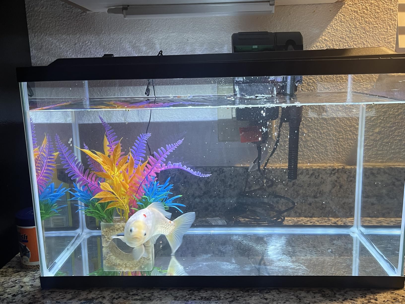 Tetra LED 10 Gallon Complete Fish Tank Kit | Aquarium Kit Includes White LED Light, 10 Gallon Glass Tank With Hinged Hood, Filter, Filter Cartridge, For Freshwater Fish customer photo 1
