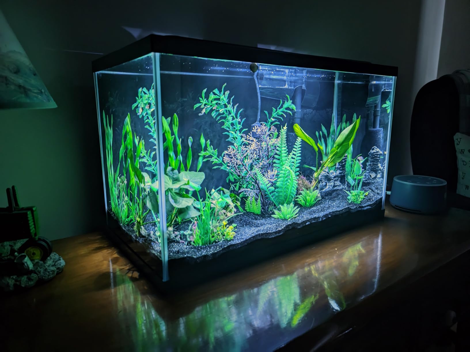Tetra LED 10 Gallon Complete Fish Tank Kit | Aquarium Kit Includes White LED Light, 10 Gallon Glass Tank With Hinged Hood, Filter, Filter Cartridge, For Freshwater Fish customer photo 2