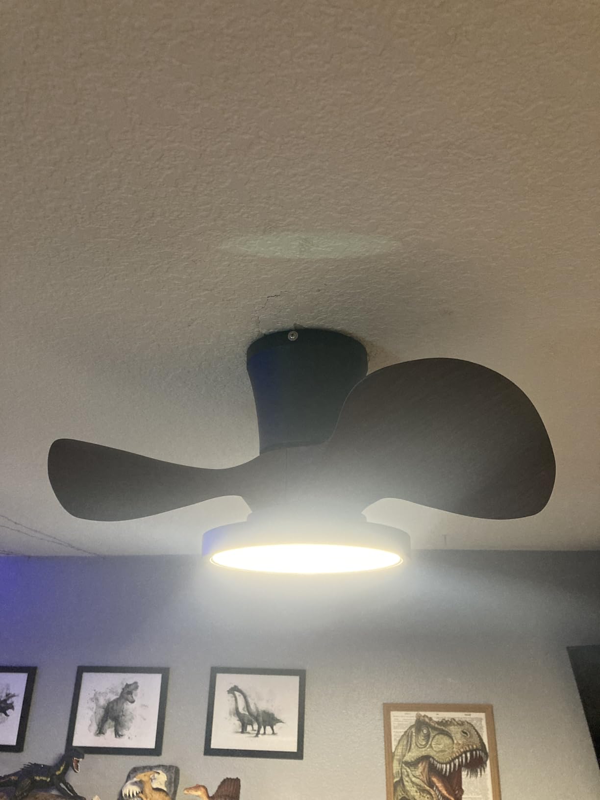 ocioc Quiet Ceiling Fan with LED Light 22 inch Large Air Volume Remote Control for Kitchen Bedroom Dining Room Patio | Ultra Quiet, Reversible, Dimmable Light, Cool Comfort, 6-Speed, Timers, Beep-Off, Easy to Install, Energy saving, Indoor/Covered Patio customer photo 1