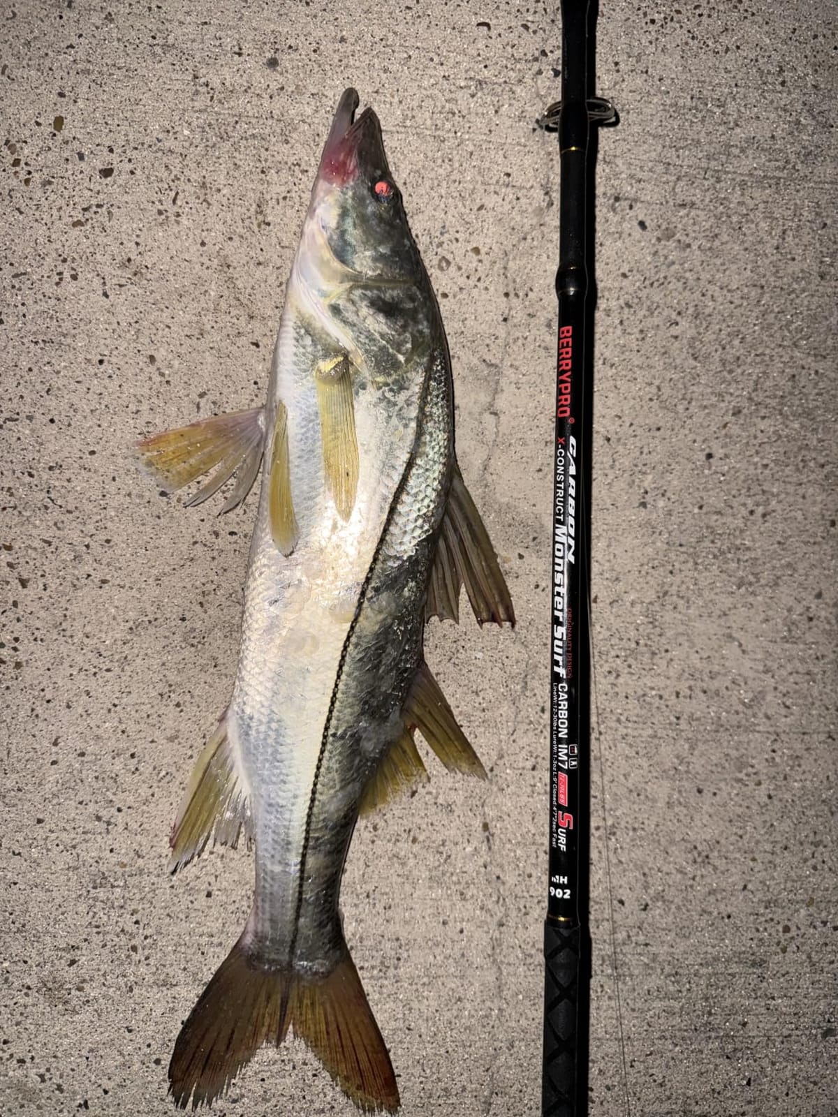 BERRYPRO Surf Spinning Rod Full Carbon Surf Fishing Rod with Fuji Guide customer photo 1