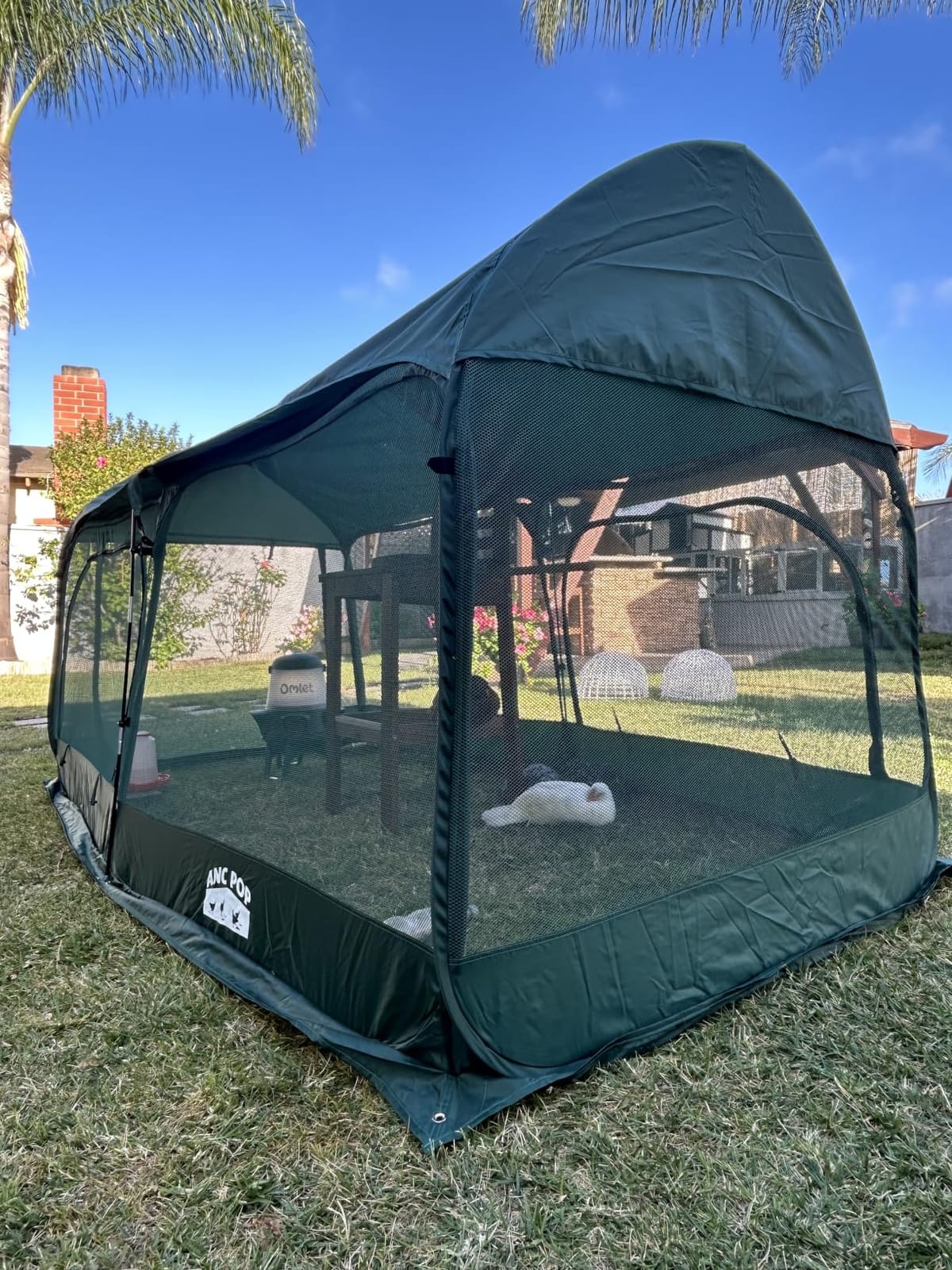 ANC POP Portable Chicken Run Large Pop-Up Chicken Pen for Small Animals Outdoor Gardening Net with 3 Doors and Handbag, Easy to Install and Storage, Green customer photo 2