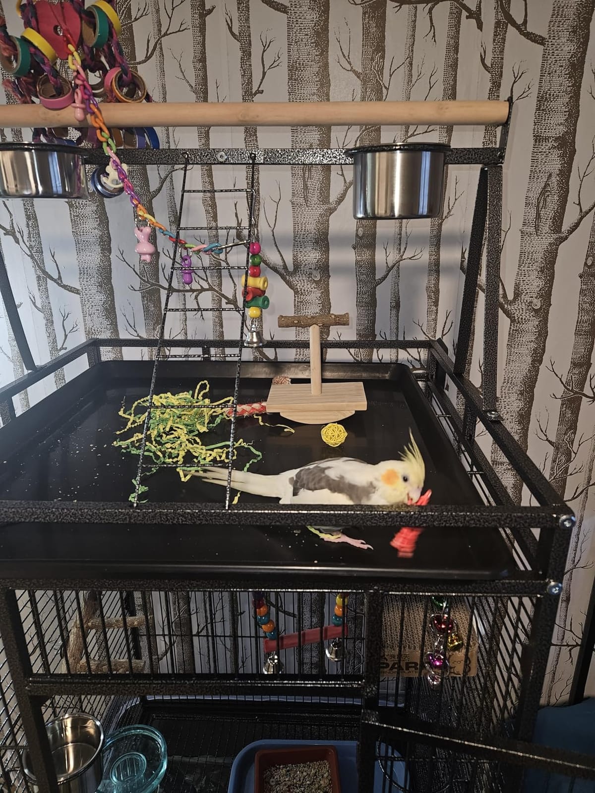 82 Inch Bird Cage, BOINN Bird Flight Cages with Rolling Stand & Bottom Tray, Wrought Iron Parrot Cage with PlayTop for Parakeet, Lovebirds, Ringneck, Cockatiels customer photo 1