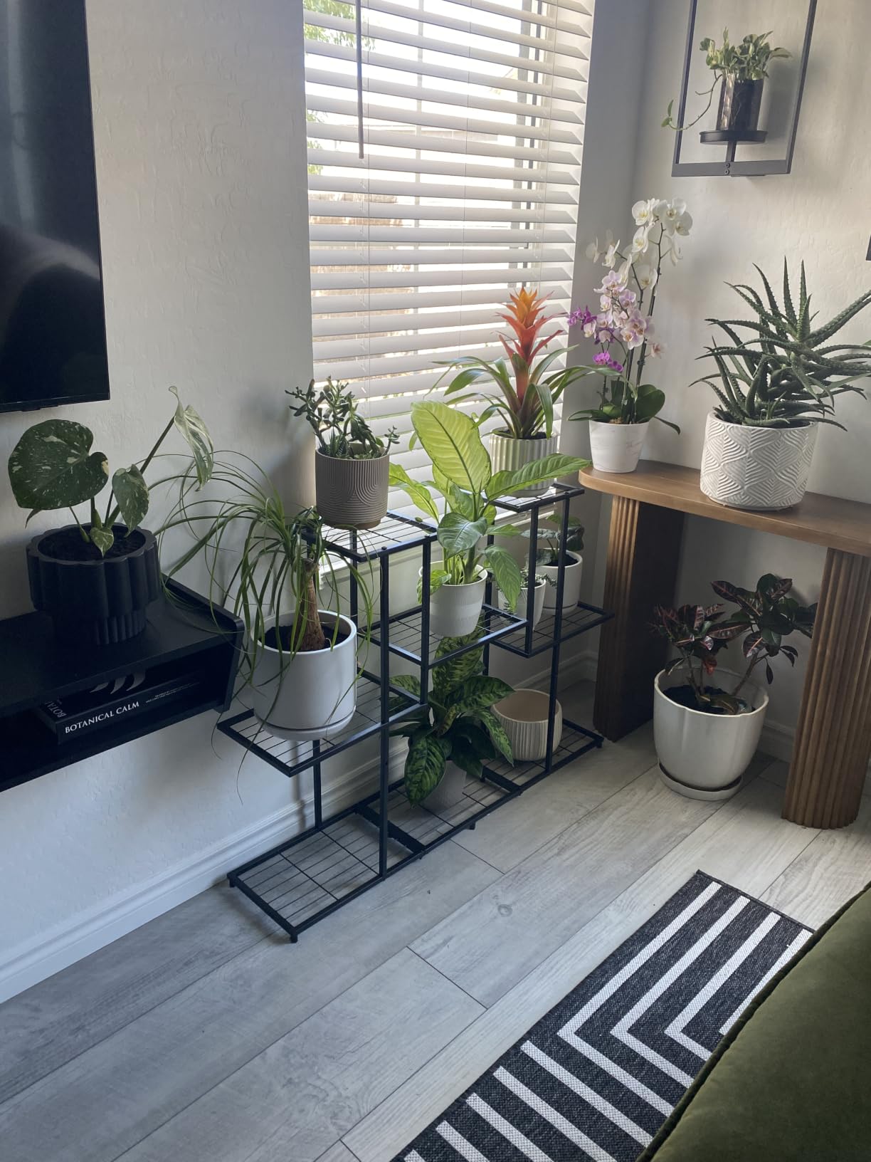 Twhep Heavy Duty Metal Plant Stand, Large Multifunctional Plant Stand for Indoor Outdoor, for Tall Large Rack for Living Room Garden Balcony, Black(9 Tier) customer photo 1