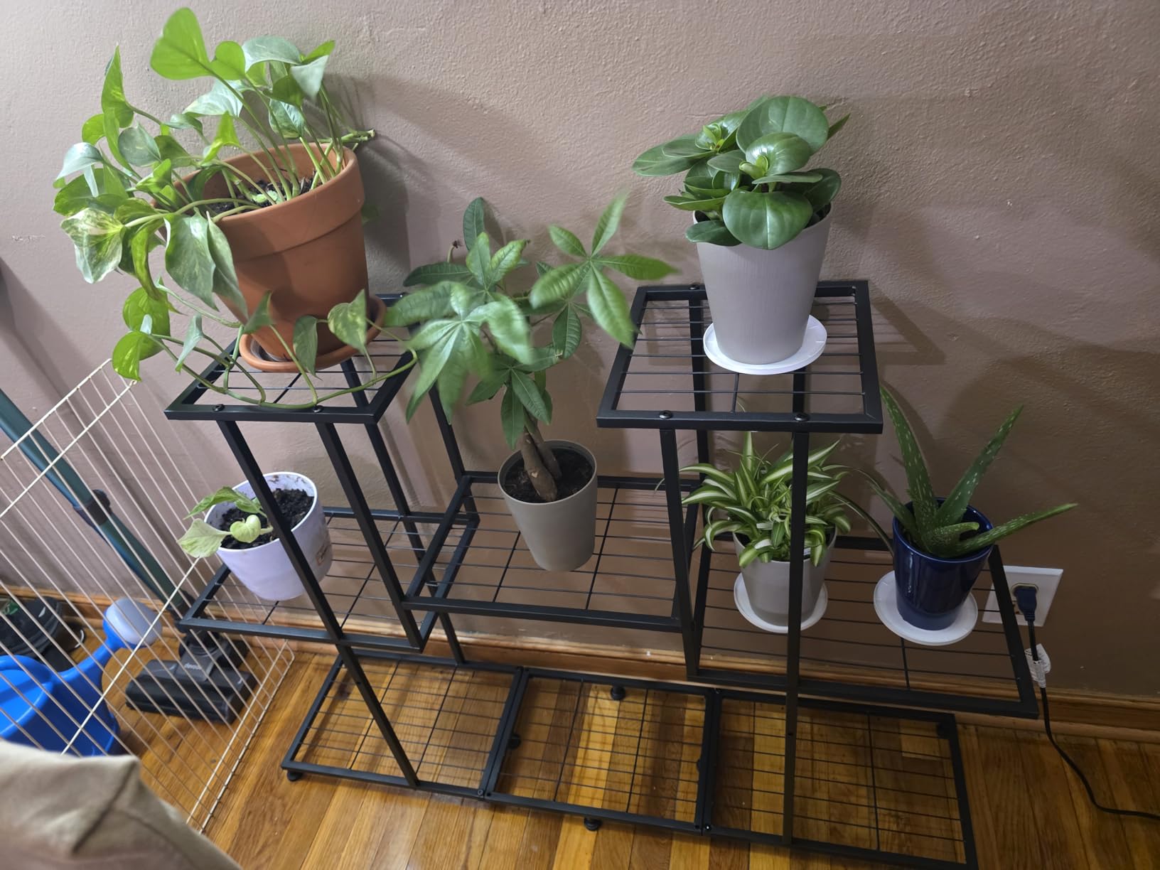 Twhep Heavy Duty Metal Plant Stand, Large Multifunctional Plant Stand for Indoor Outdoor, for Tall Large Rack for Living Room Garden Balcony, Black(9 Tier) customer photo 2