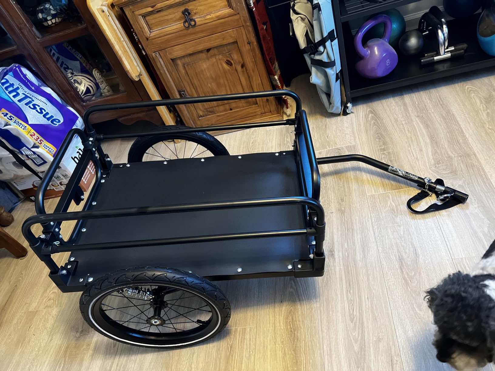 Aosom Bike Cargo Trailer with Suspension, 16'' Wheels, 88 lbs Max Load | Bike Wagon, Bicycle Trailer, Triple Safety Features customer photo 2